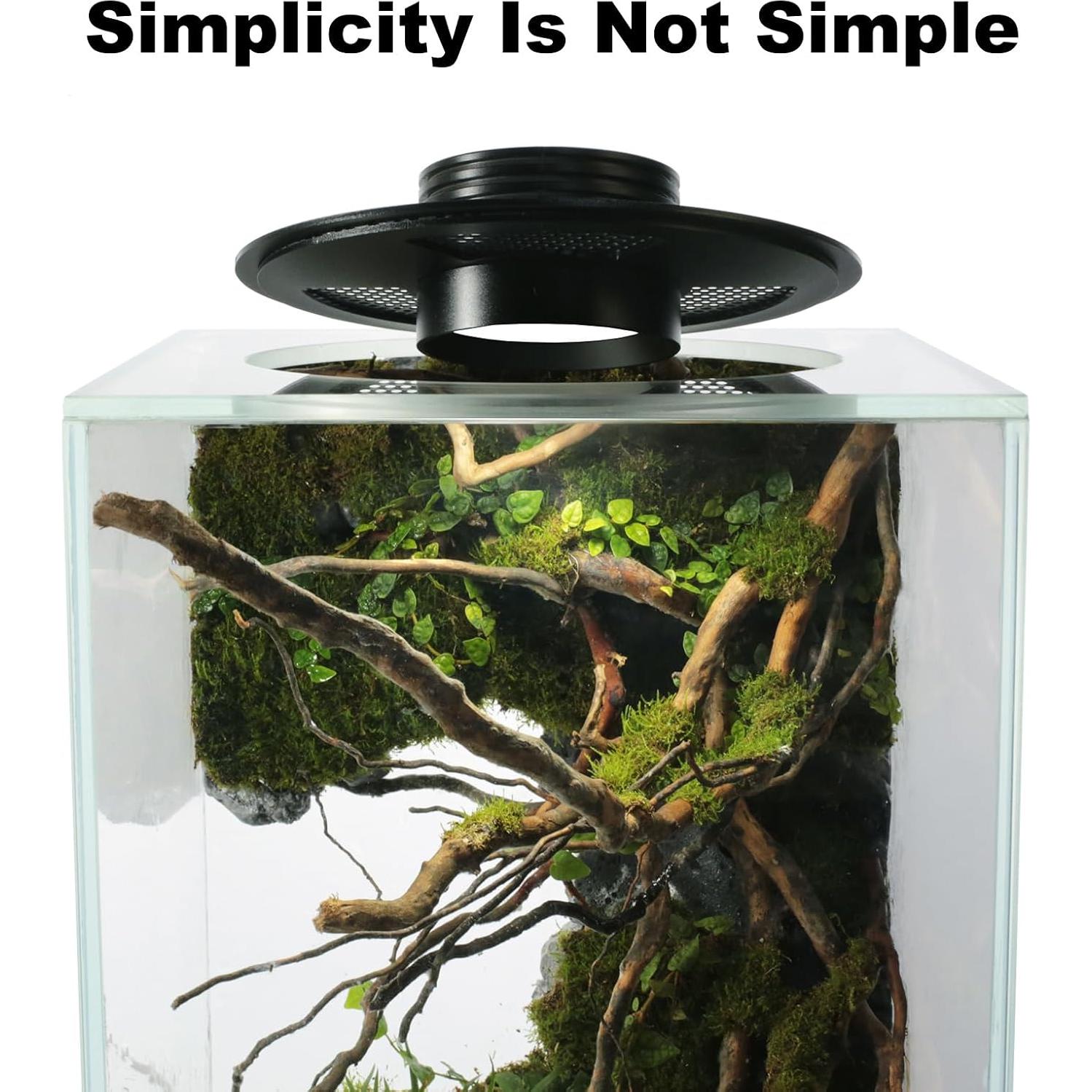 Terrario de Vidrio con Luz de Crecimiento 10W para Suculentas