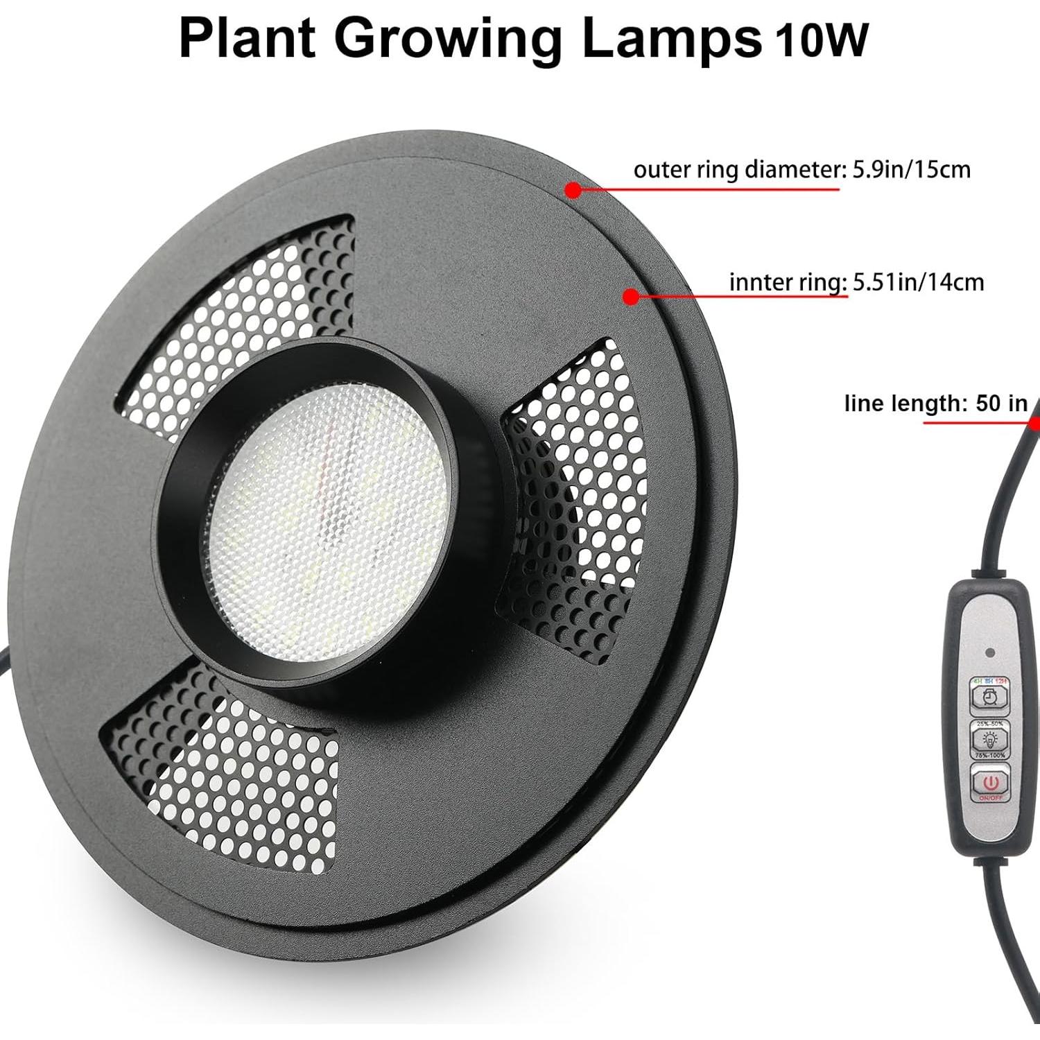 Terrario de Vidrio con Luz de Crecimiento 10W para Suculentas