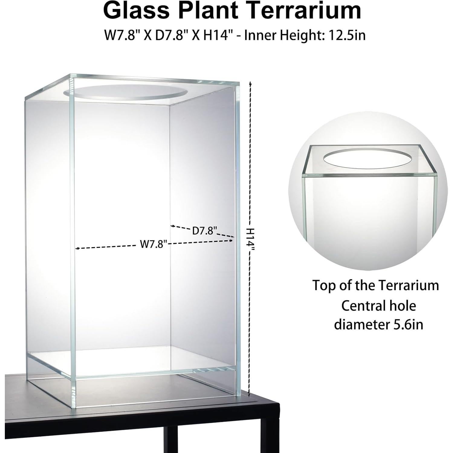 Terrario de Vidrio con Luz de Crecimiento 10W para Suculentas