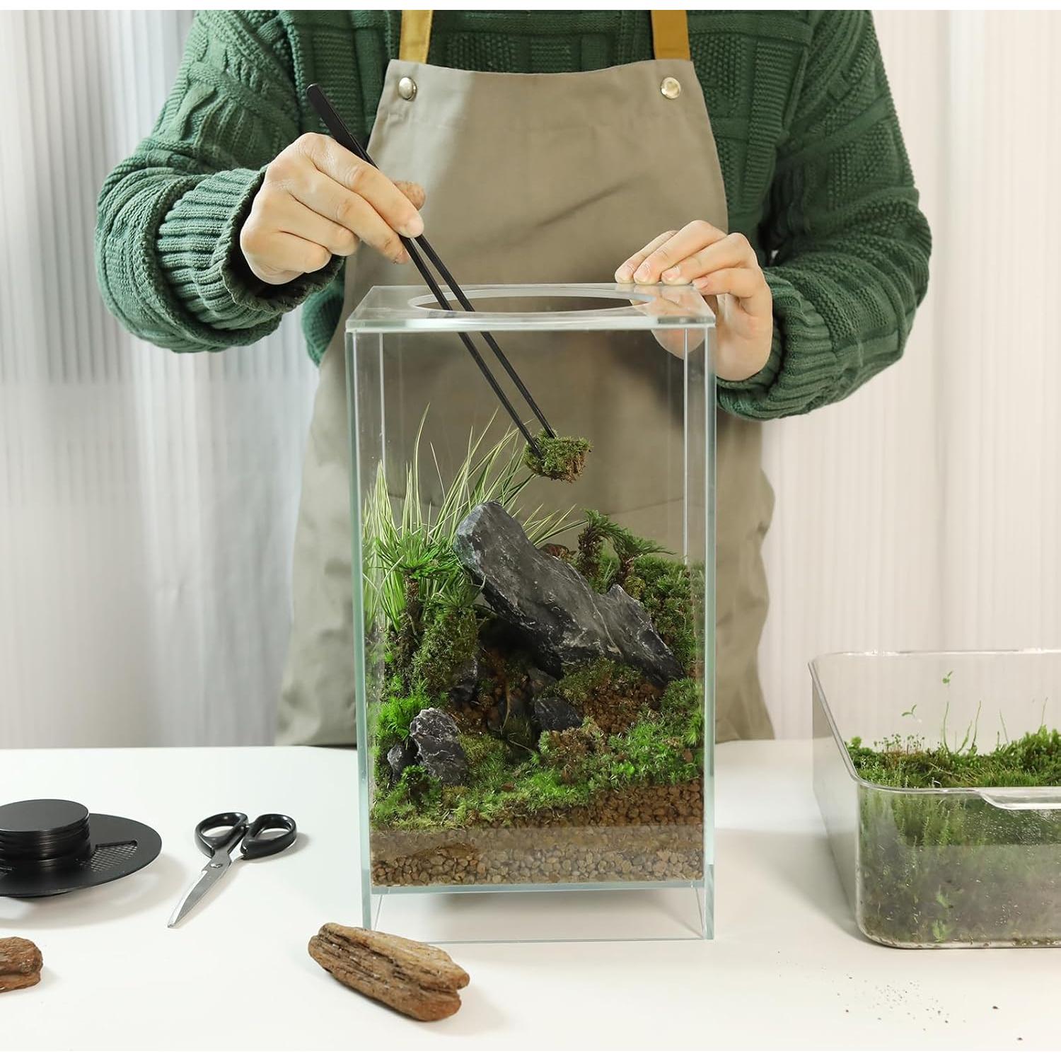 Terrario de Vidrio con Luz de Crecimiento 10W para Suculentas