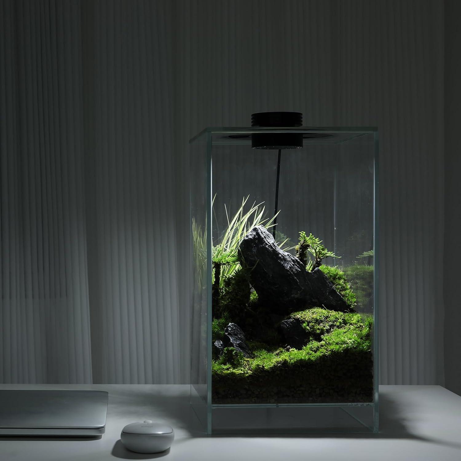 Terrario de Vidrio con Luz de Crecimiento 10W para Suculentas