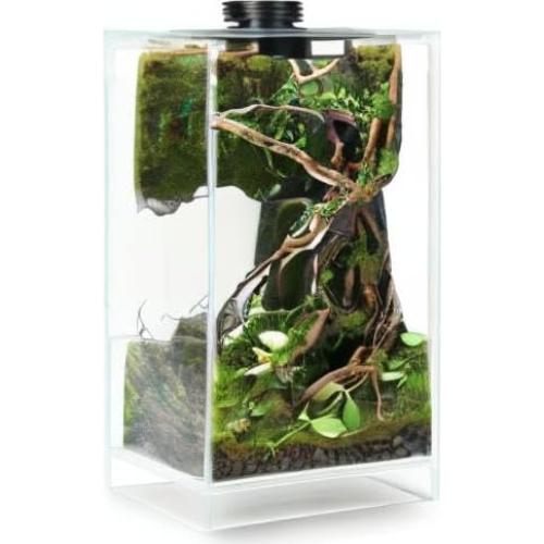 Terrario de Vidrio con Luz de Crecimiento 10W para Suculentas