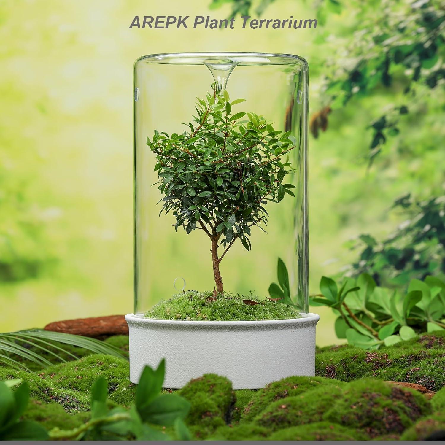 Terrario de Cerámica con Vidrio para Suculentas 24.4 cm