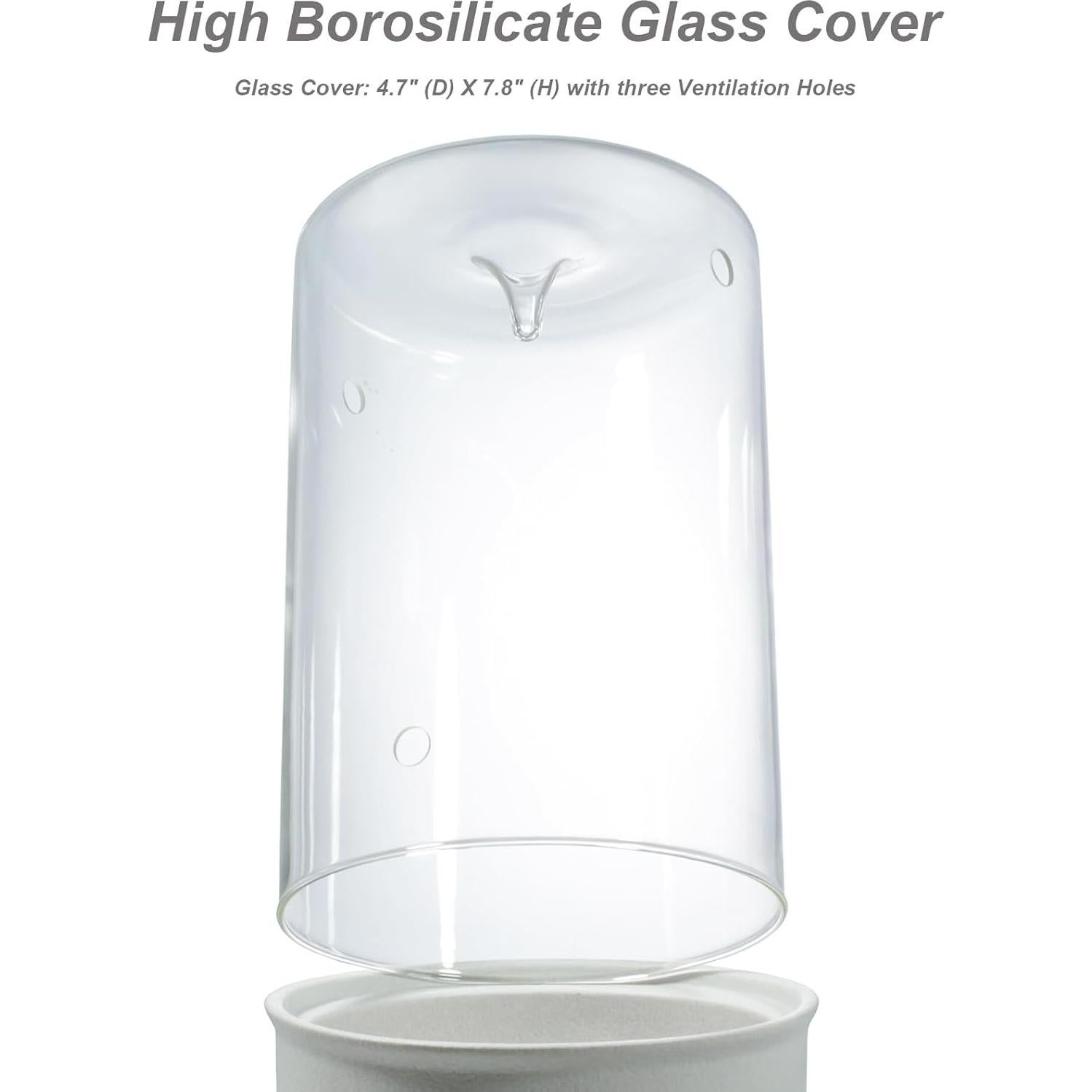 Terrario de Cerámica con Vidrio para Suculentas 24.4 cm