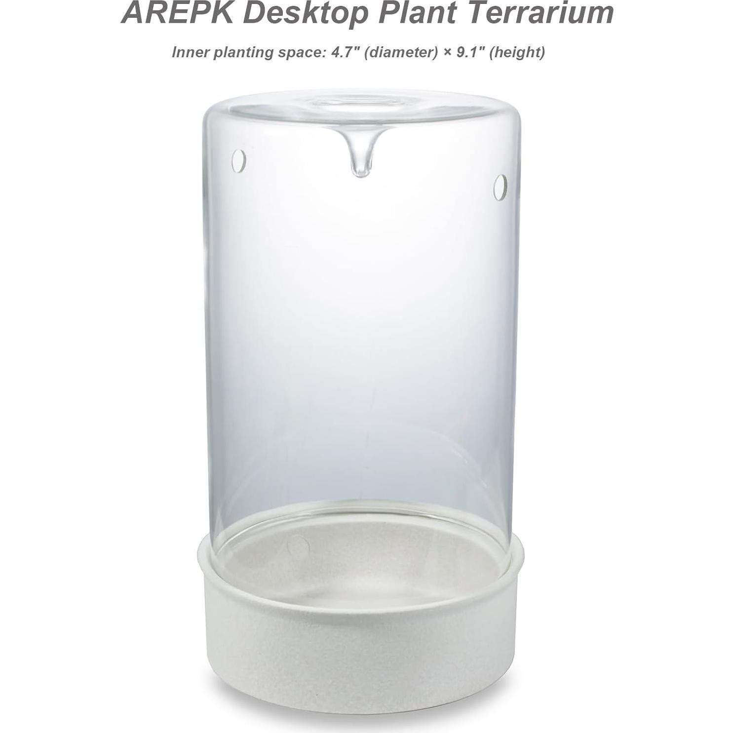 Terrario de Cerámica con Vidrio para Suculentas 24.4 cm