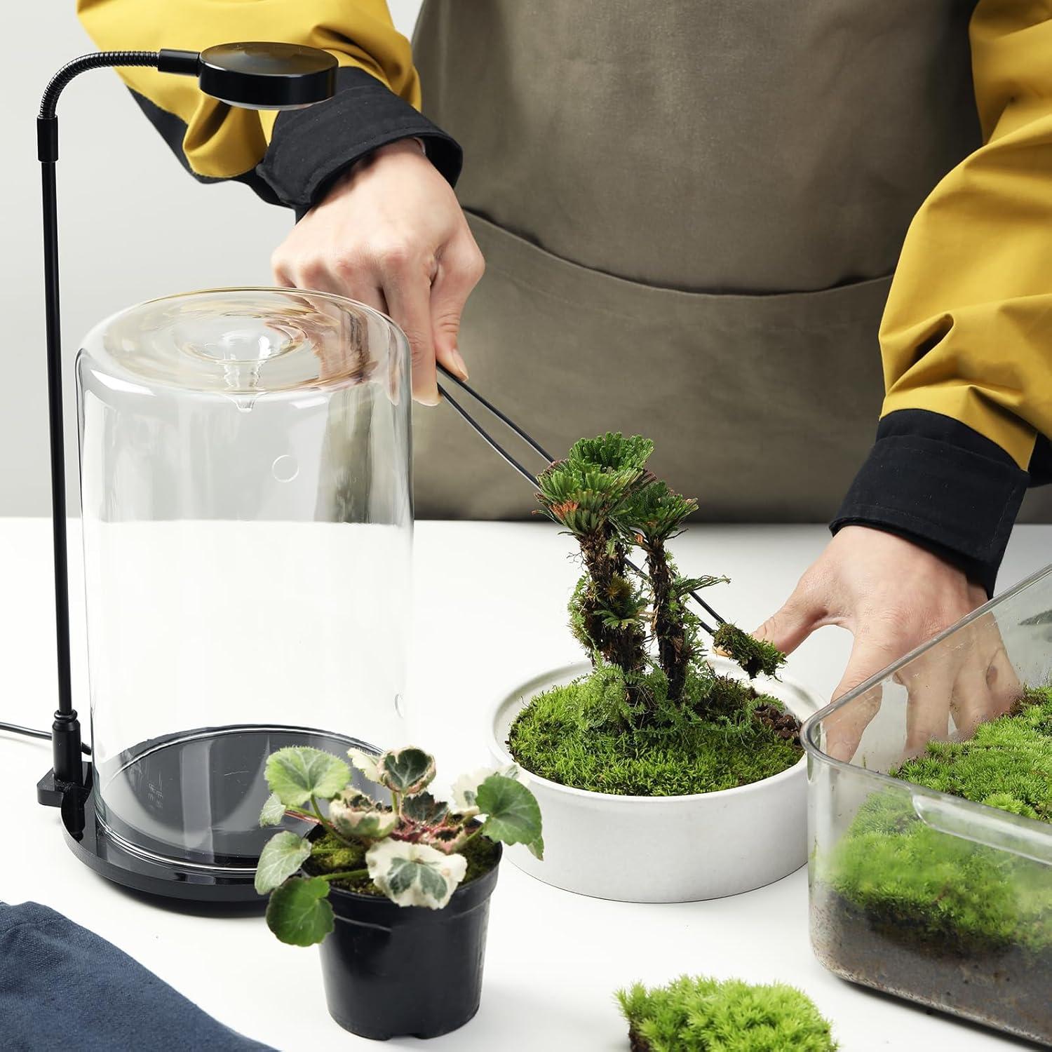 Terrario de Cerámica con Vidrio para Suculentas 24.4 cm