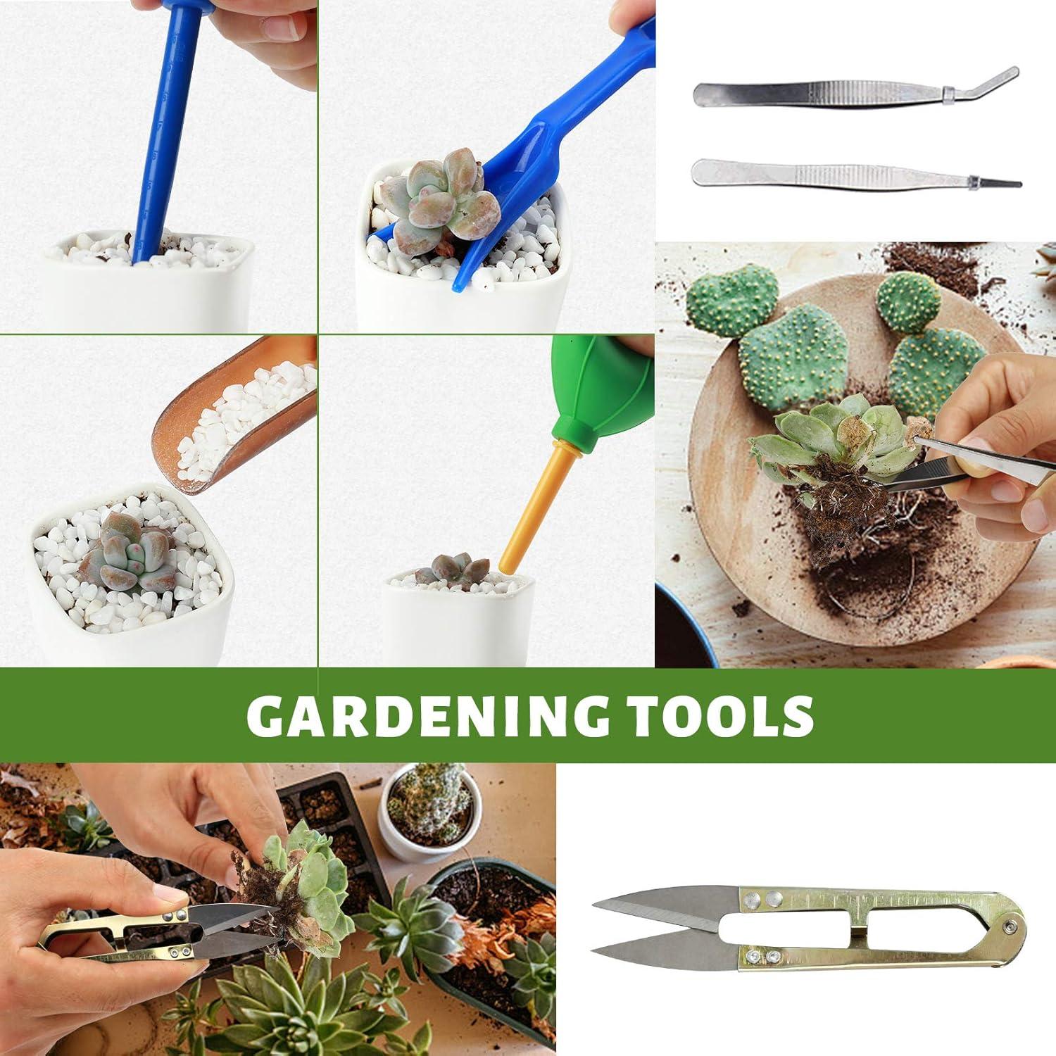 Kit de Herramientas para Suculentas G GOOD GAIN 13 Piezas