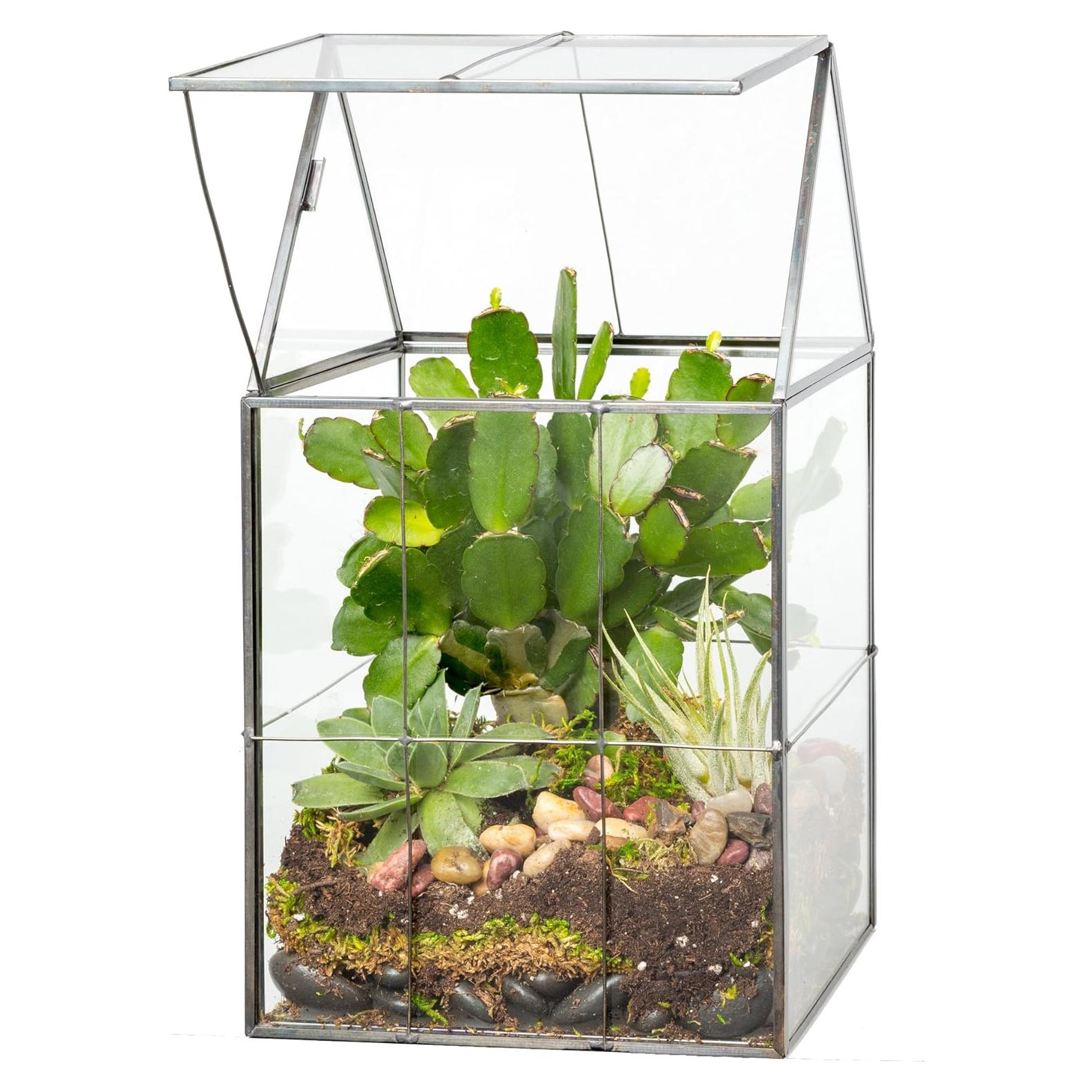 Terrario Geométrico de Vidrio D'Eco 15x12.7x28 cm - Techo Abatible