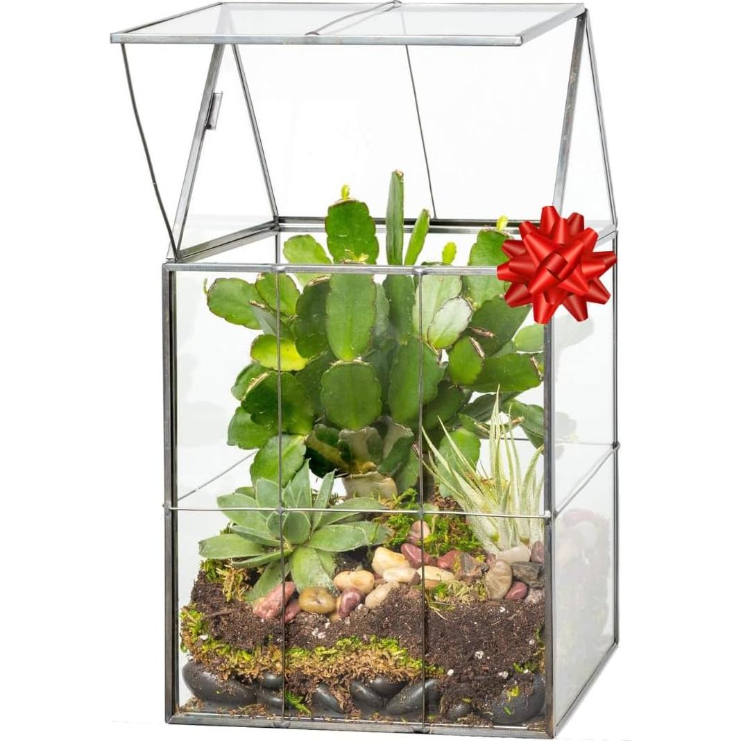 Terrario Geométrico de Vidrio D'Eco 15x12.7x28 cm - Techo Abatible