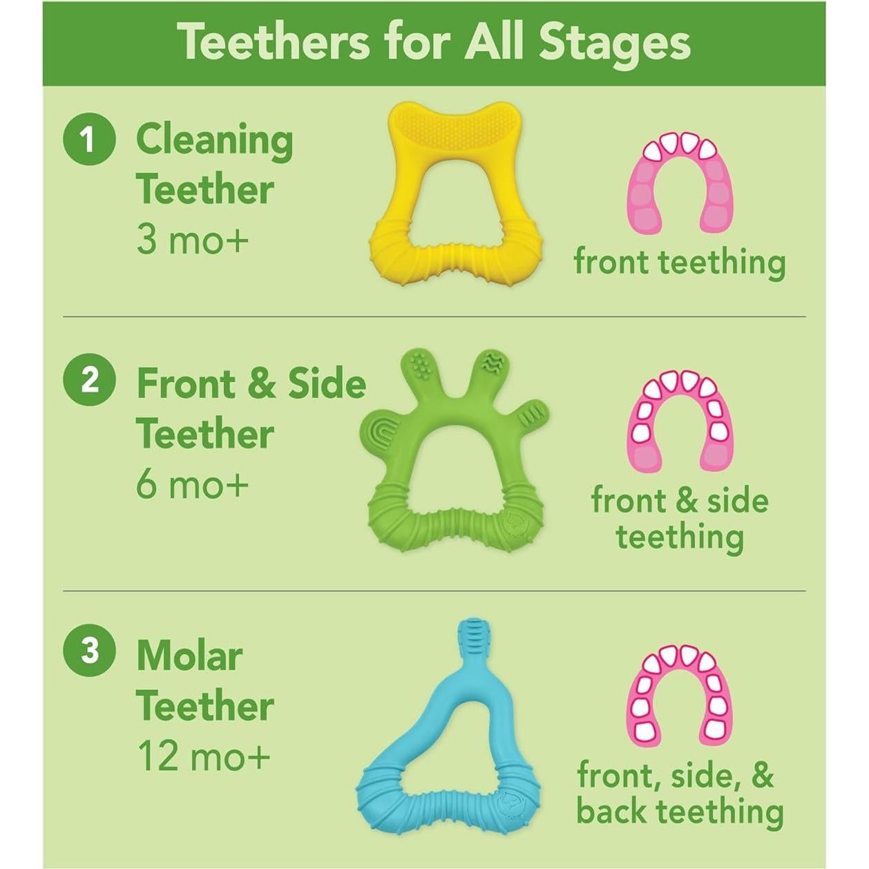 Mordedor de Molares Green Sprouts Silicona Azul 14.3x9.5cm