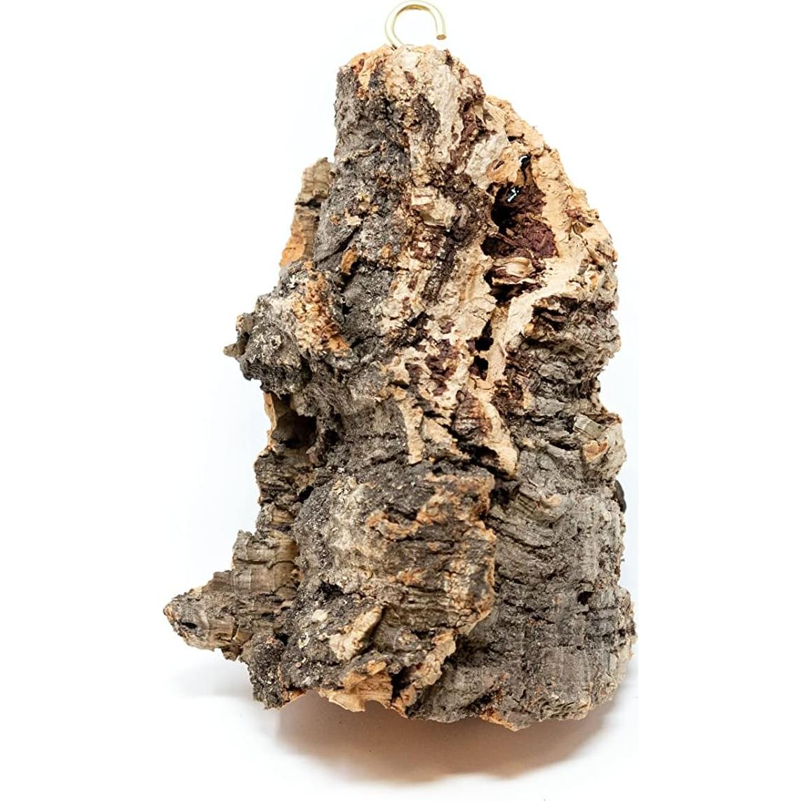 Kit DIY Corteza de Corcho Natural con 3 Plantas de Aire