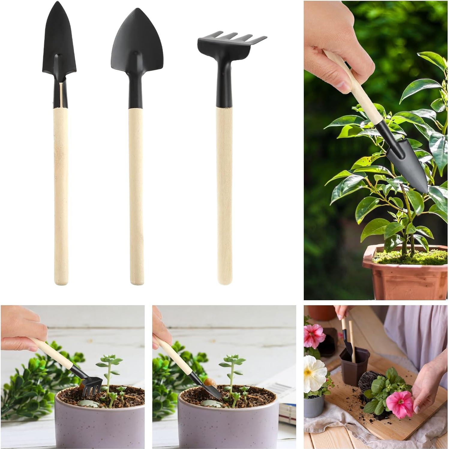 Kit de Jardinería Miniatura 6 Pcs Sibba - Herramientas de Interior