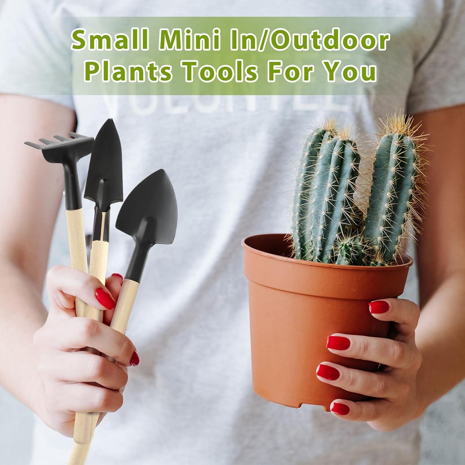 Kit de Jardinería Miniatura 6 Pcs Sibba - Herramientas de Interior