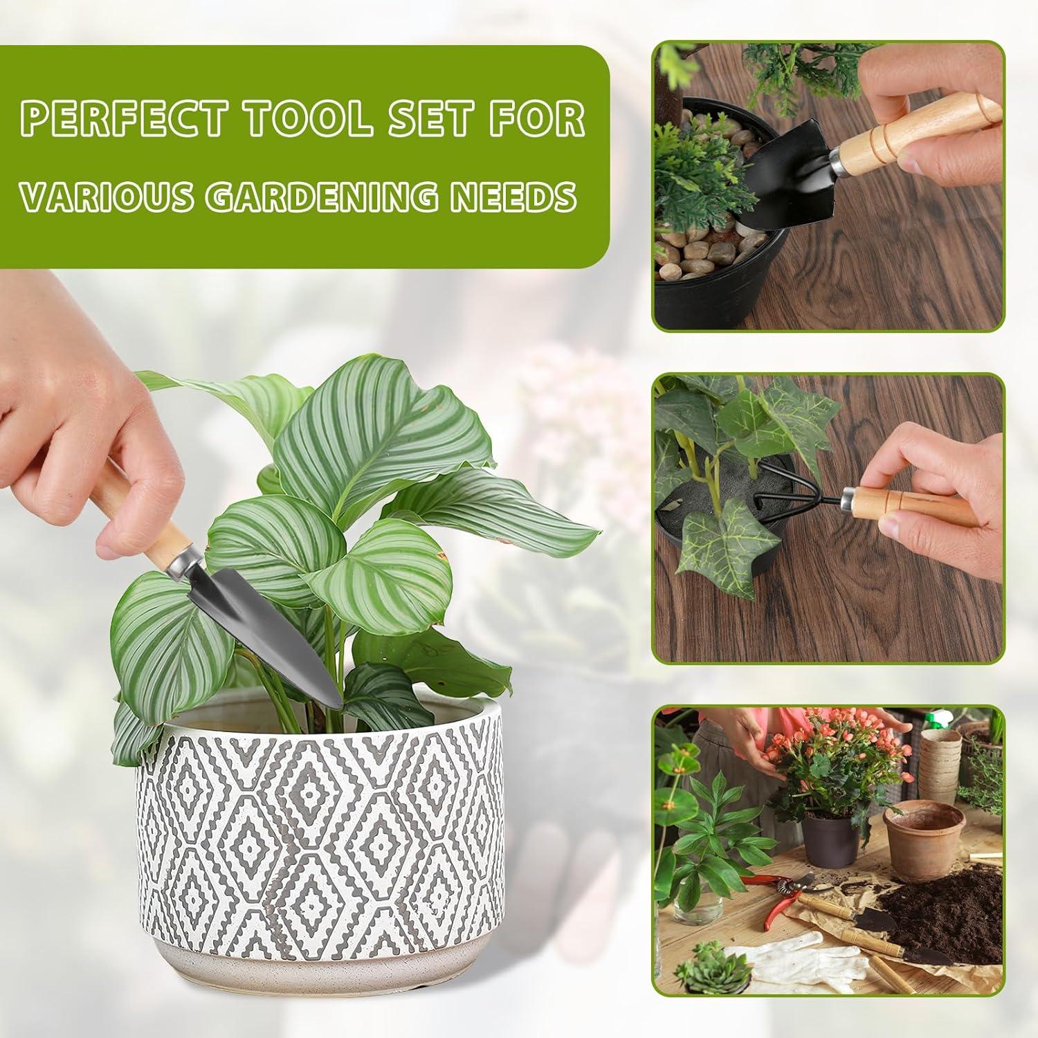 Kit de Jardinería Miniatura 6 Pcs Sibba - Herramientas de Interior