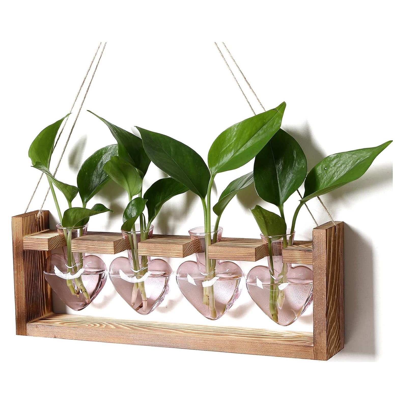 Kit de Terrario Corazón CYZglass - 4 Jarrones de Vidrio Rosa