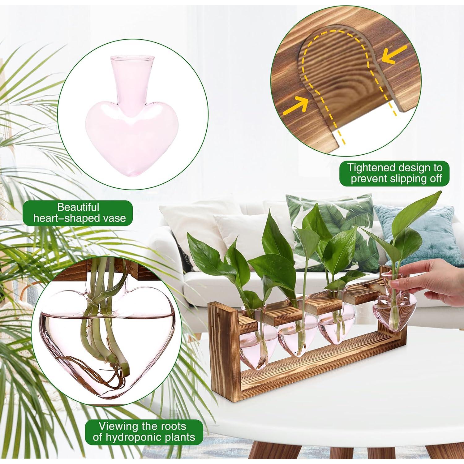 Kit de Terrario Corazón CYZglass - 4 Jarrones de Vidrio Rosa