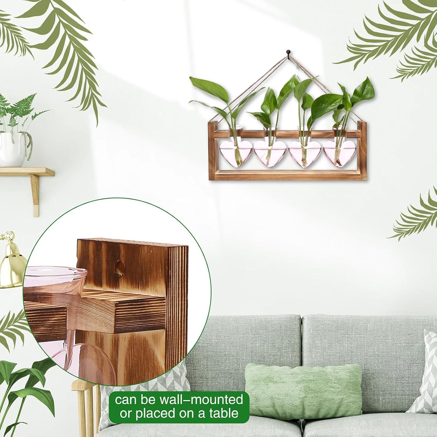 Kit de Terrario Corazón CYZglass - 4 Jarrones de Vidrio Rosa