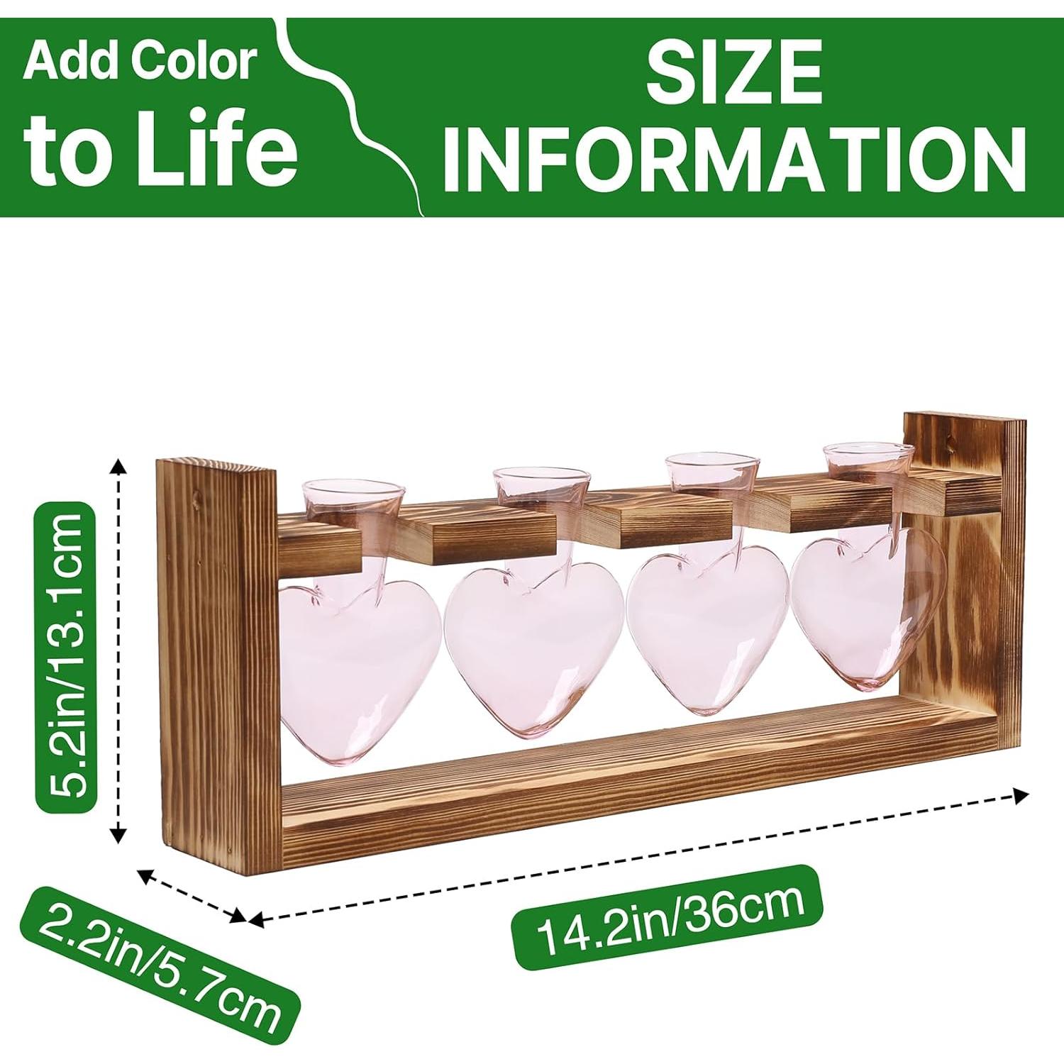 Kit de Terrario Corazón CYZglass - 4 Jarrones de Vidrio Rosa