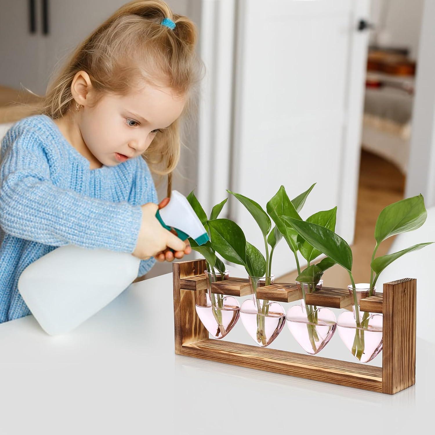 Kit de Terrario Corazón CYZglass - 4 Jarrones de Vidrio Rosa