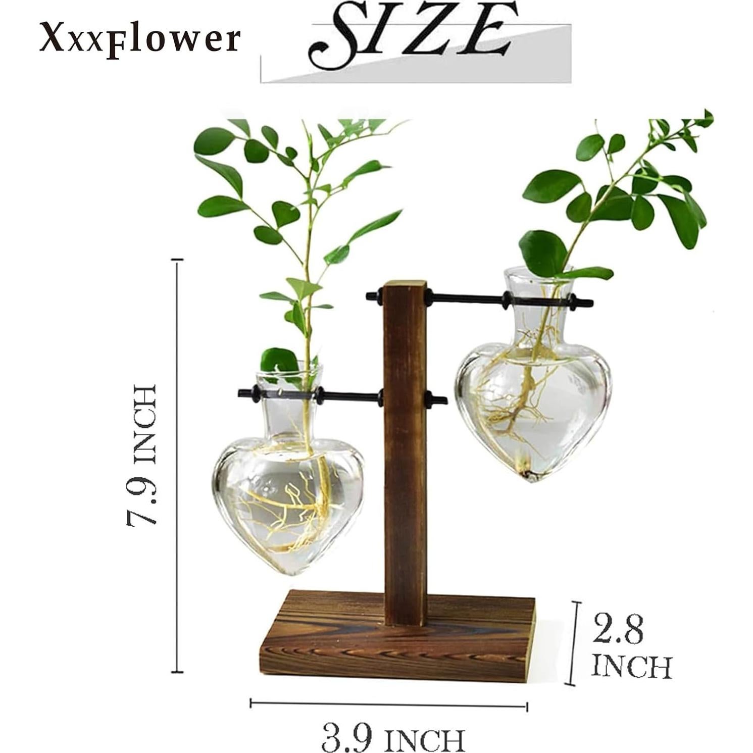 Soporte de Madera para Terrario XXXFLOWER con 2 Jarrones Corazón