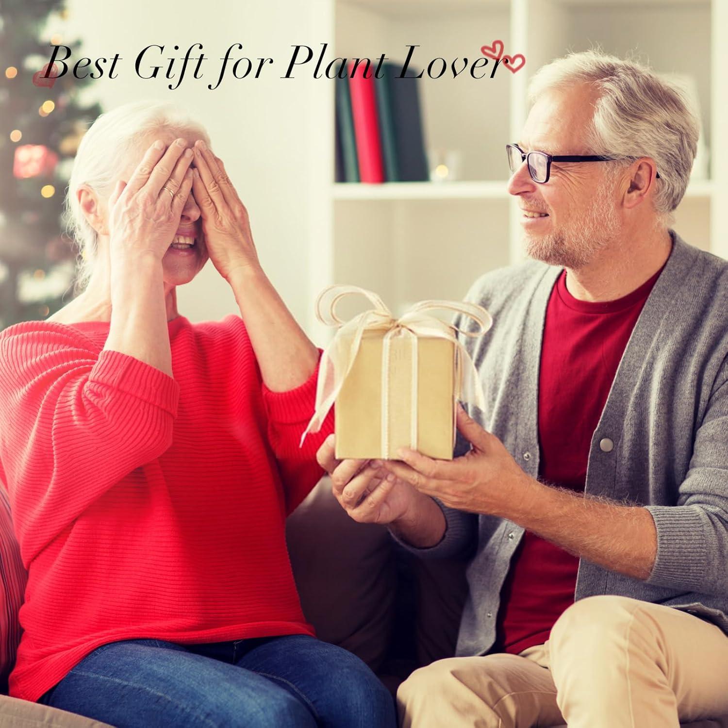 Soporte de Madera para Terrario XXXFLOWER con 2 Jarrones Corazón