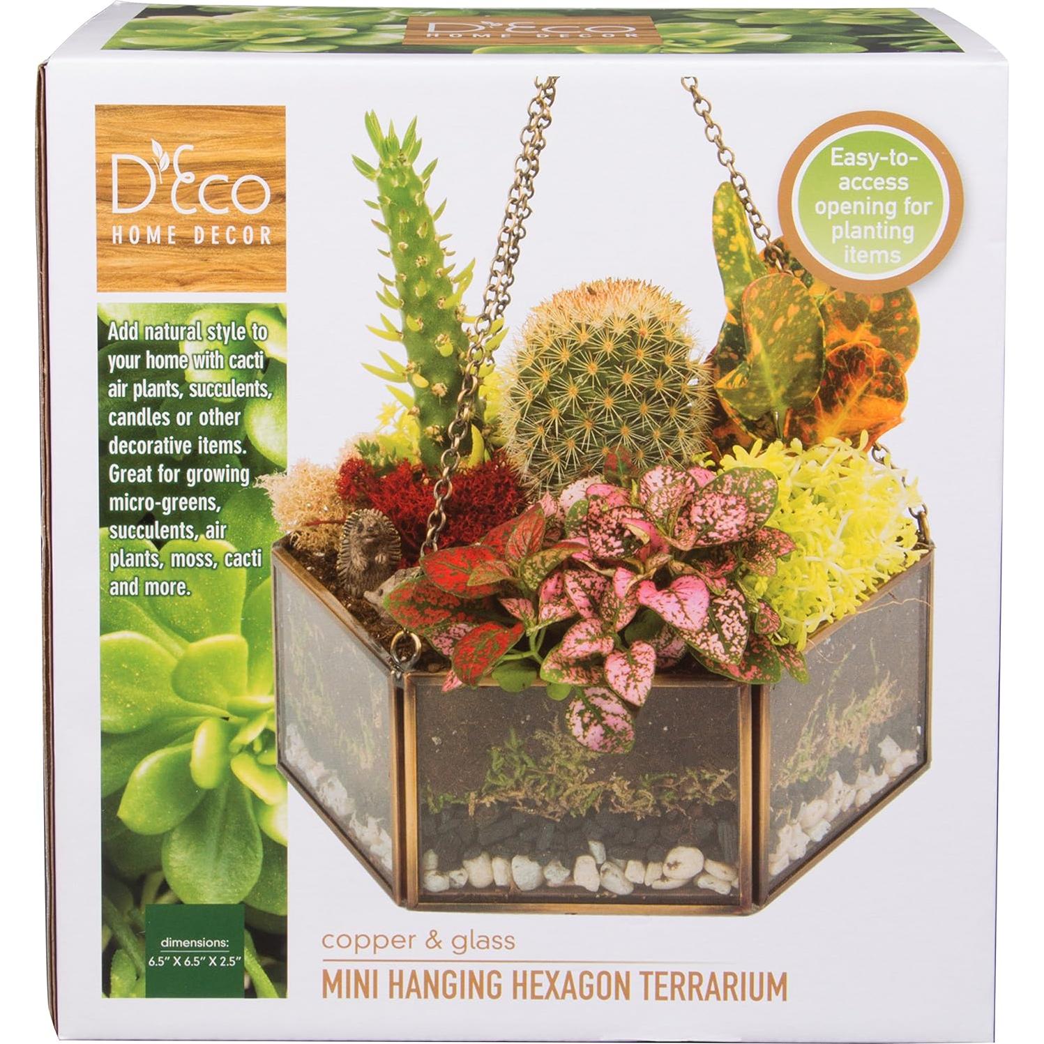 Terrario Colgante de Vidrio D'Eco Mini Hexágono 16.5x6.3cm