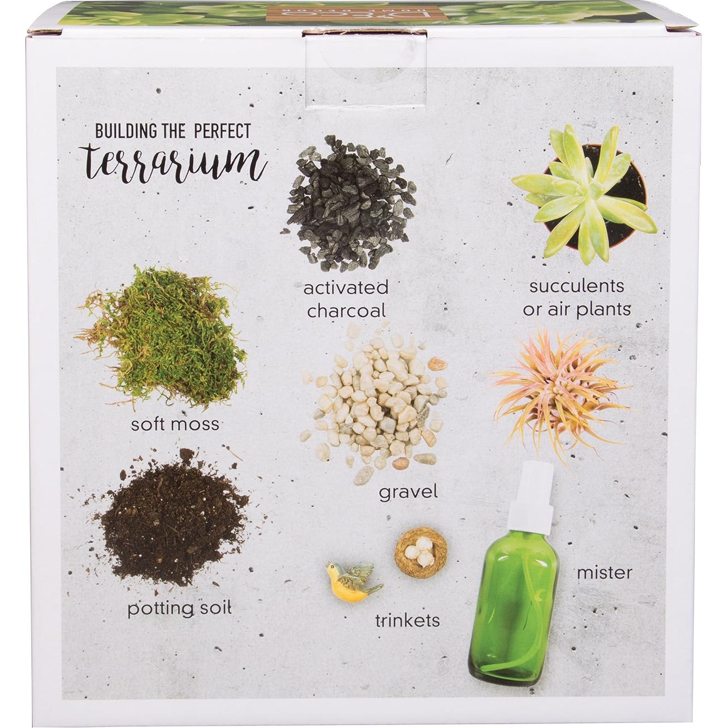 Terrario Colgante de Vidrio D'Eco Mini Hexágono 16.5x6.3cm