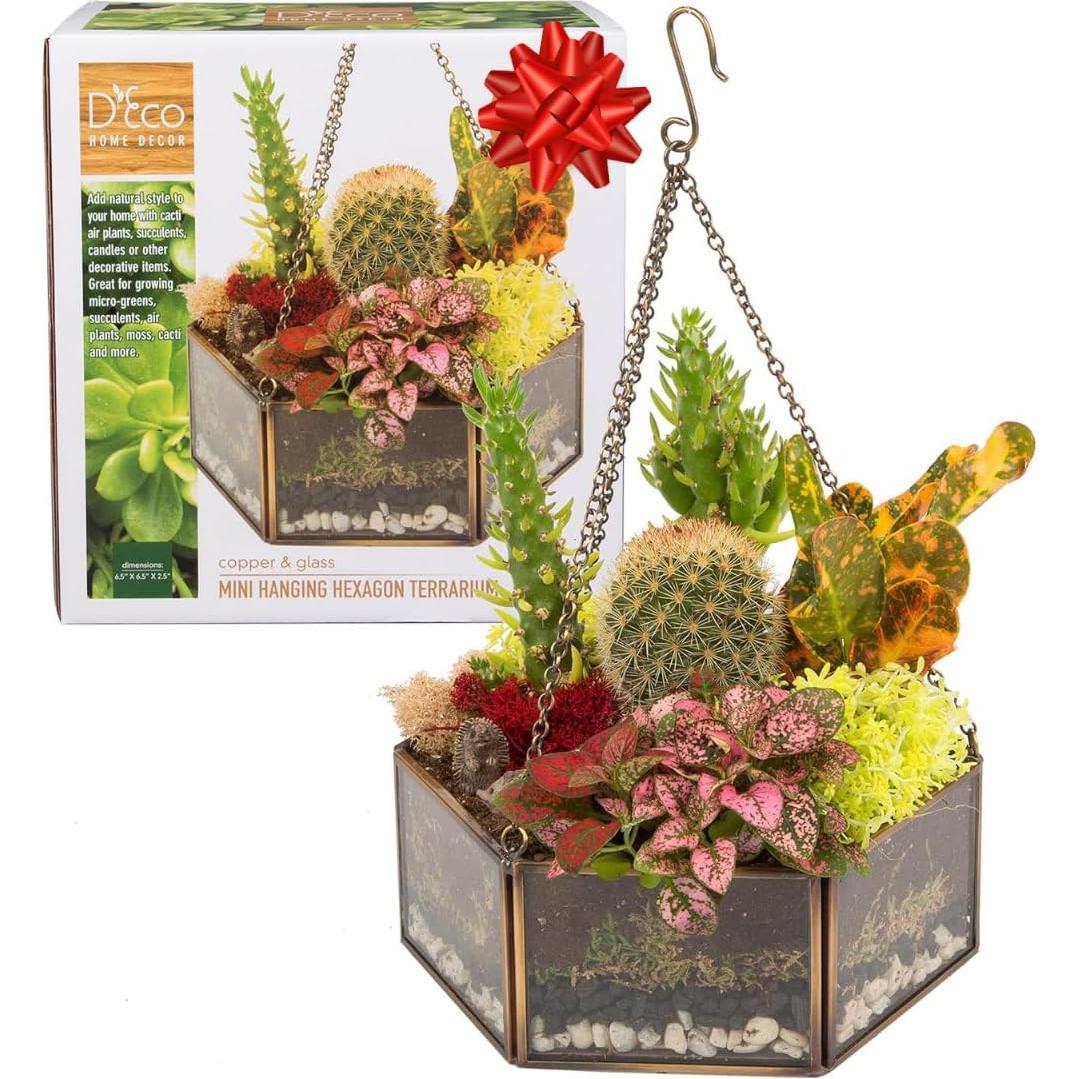 Terrario Colgante de Vidrio D'Eco Mini Hexágono 16.5x6.3cm