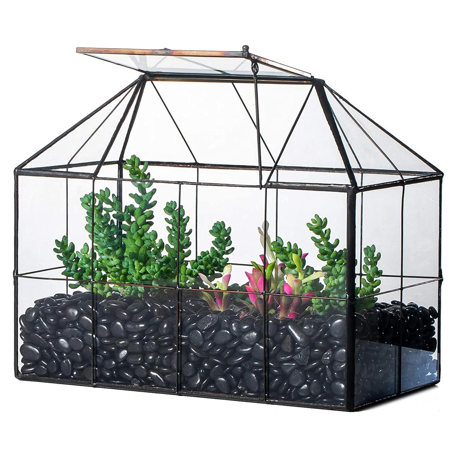 Terrario Geométrico de Vidrio NCYP con Tapa Oscilante 25x13.5x20cm