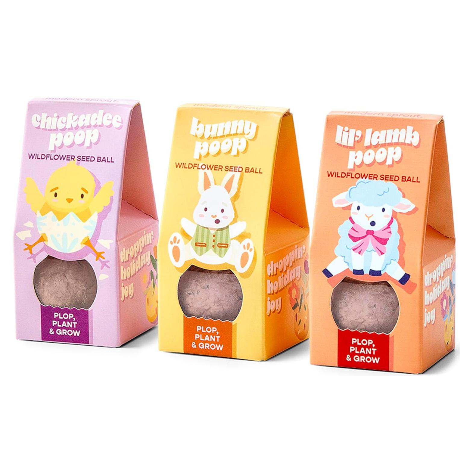 Bolas de Semillas de Flores Silvestres Modern Sprout - Set de 3