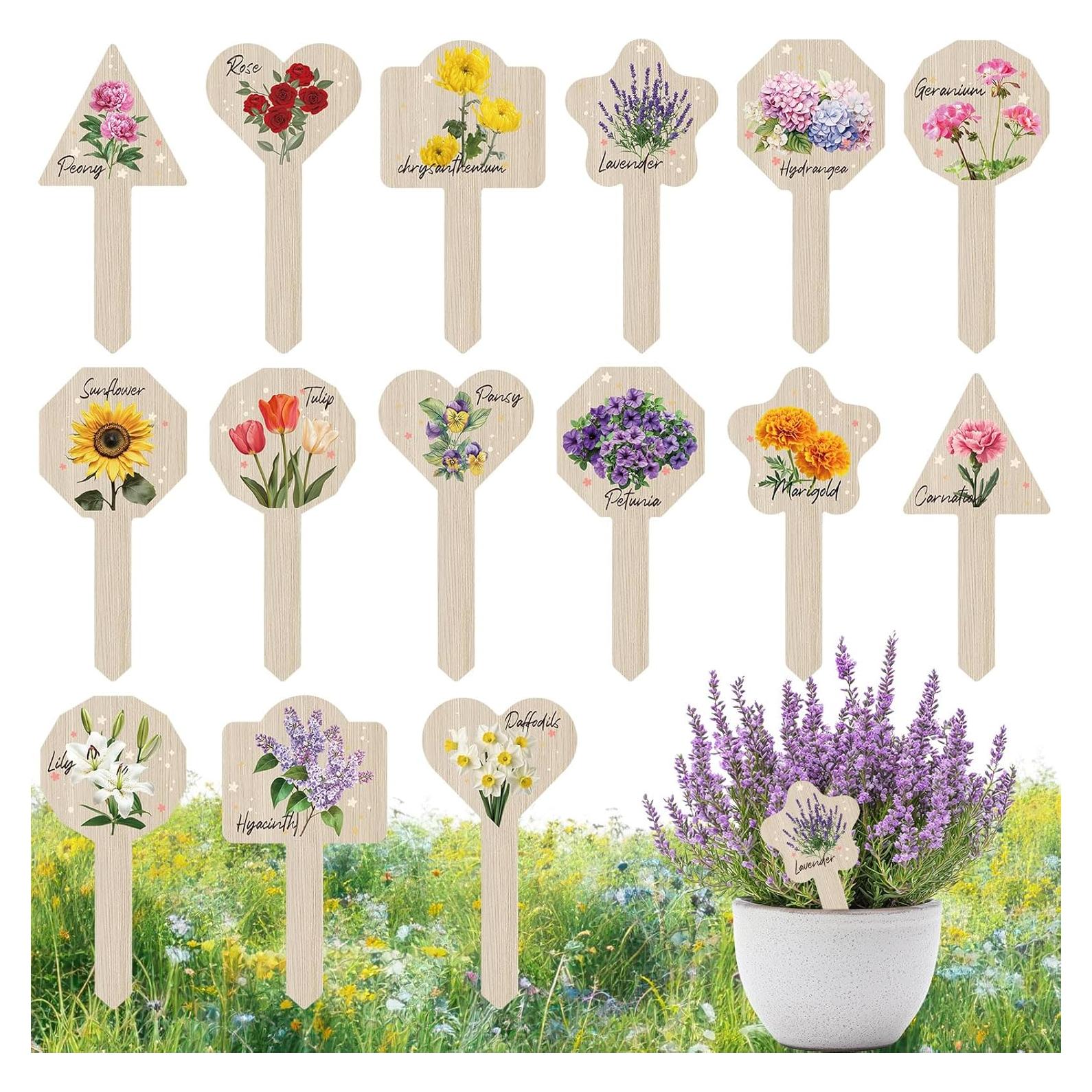 Etiquetas de Plantas JUYRLE - 15 Marcadores Impermeables 6.9x13.5cm