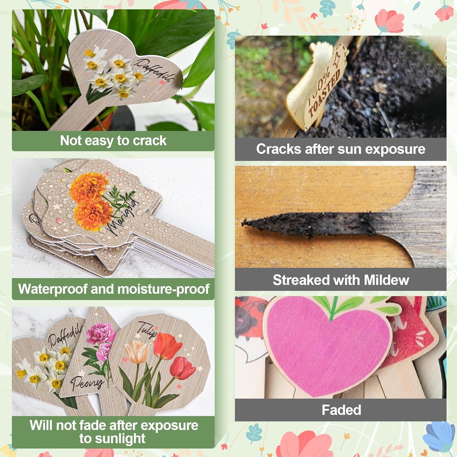 Etiquetas de Plantas JUYRLE - 15 Marcadores Impermeables 6.9x13.5cm