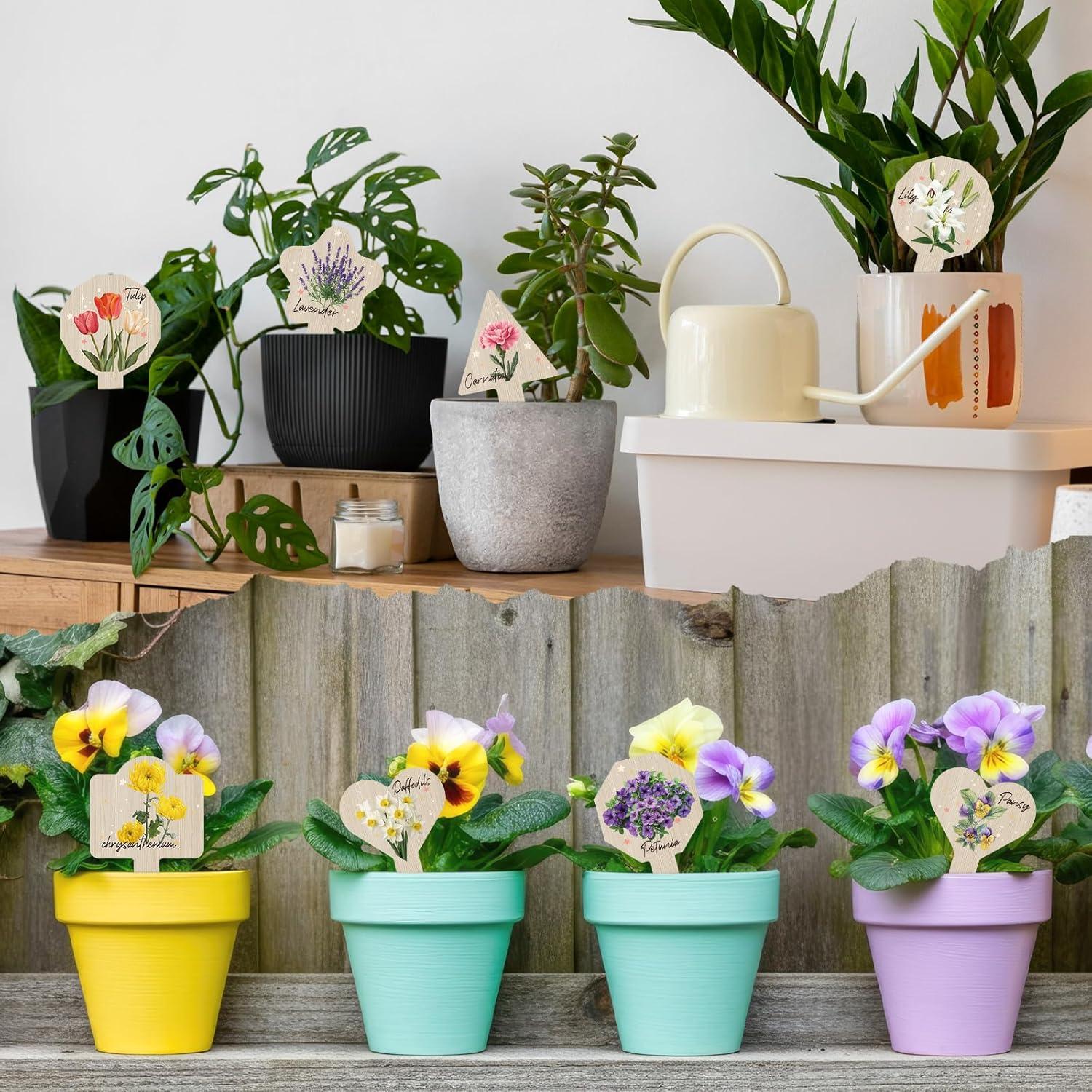 Etiquetas de Plantas JUYRLE - 15 Marcadores Impermeables 6.9x13.5cm