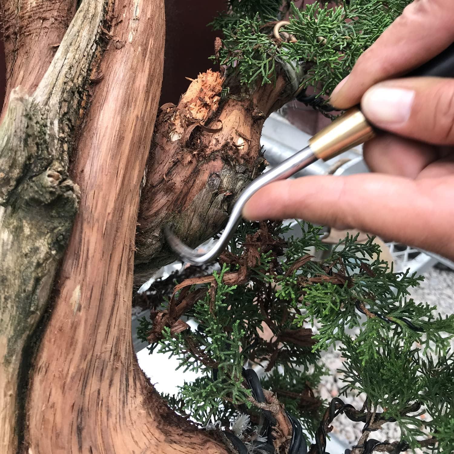 Juego de Herramientas de Bonsai VOUIU 5 Piezas con Bolsa