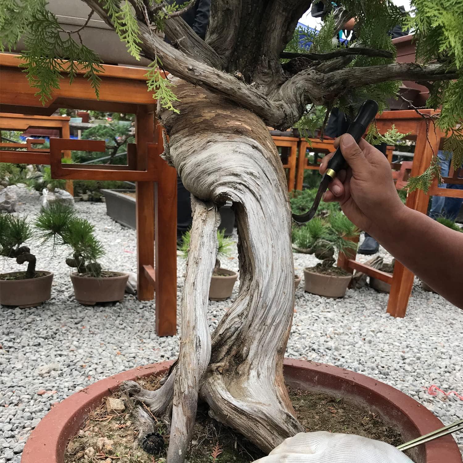 Juego de Herramientas de Bonsai VOUIU 5 Piezas con Bolsa