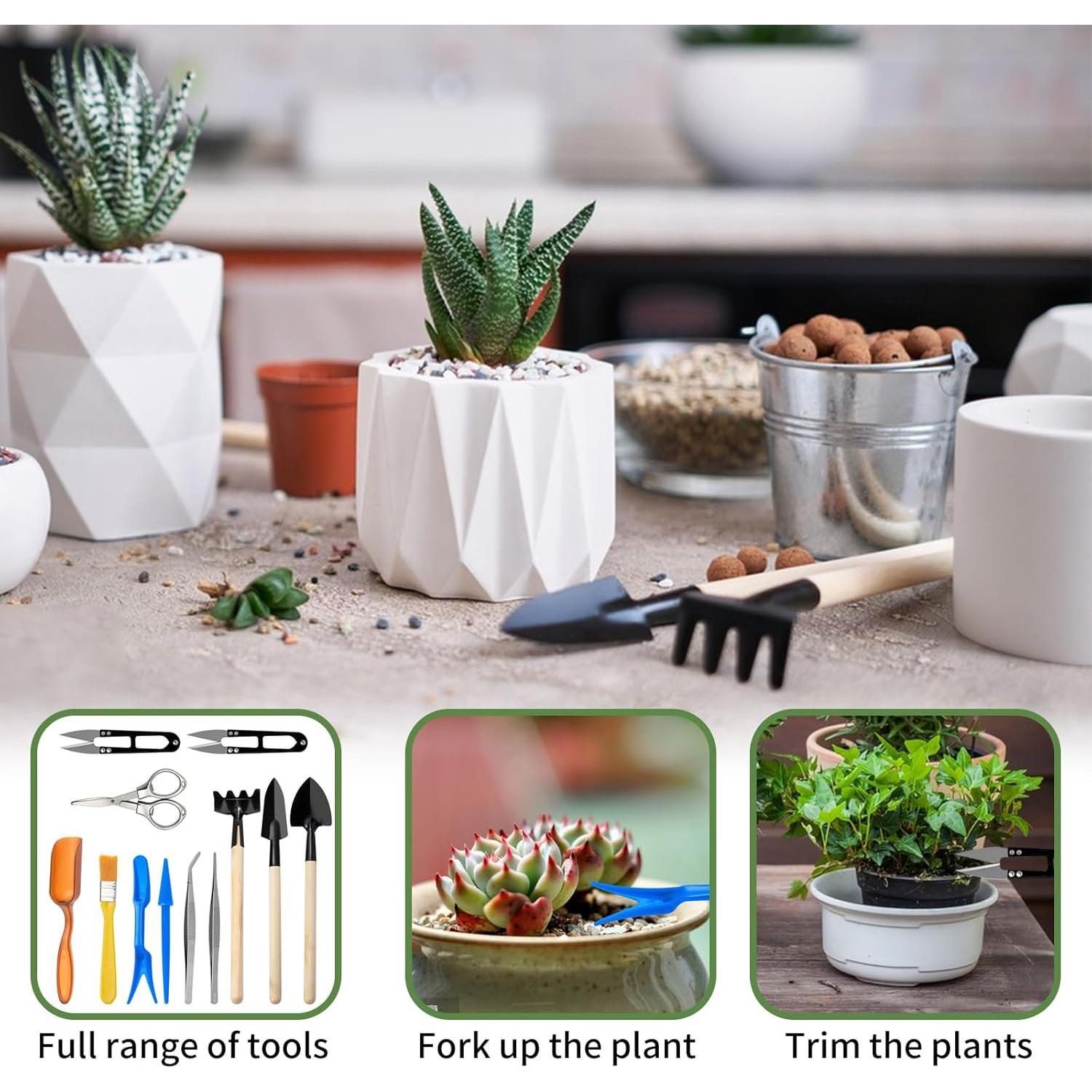 Conjunto de Herramientas de Jardinería Andiker Mini 12 Piezas