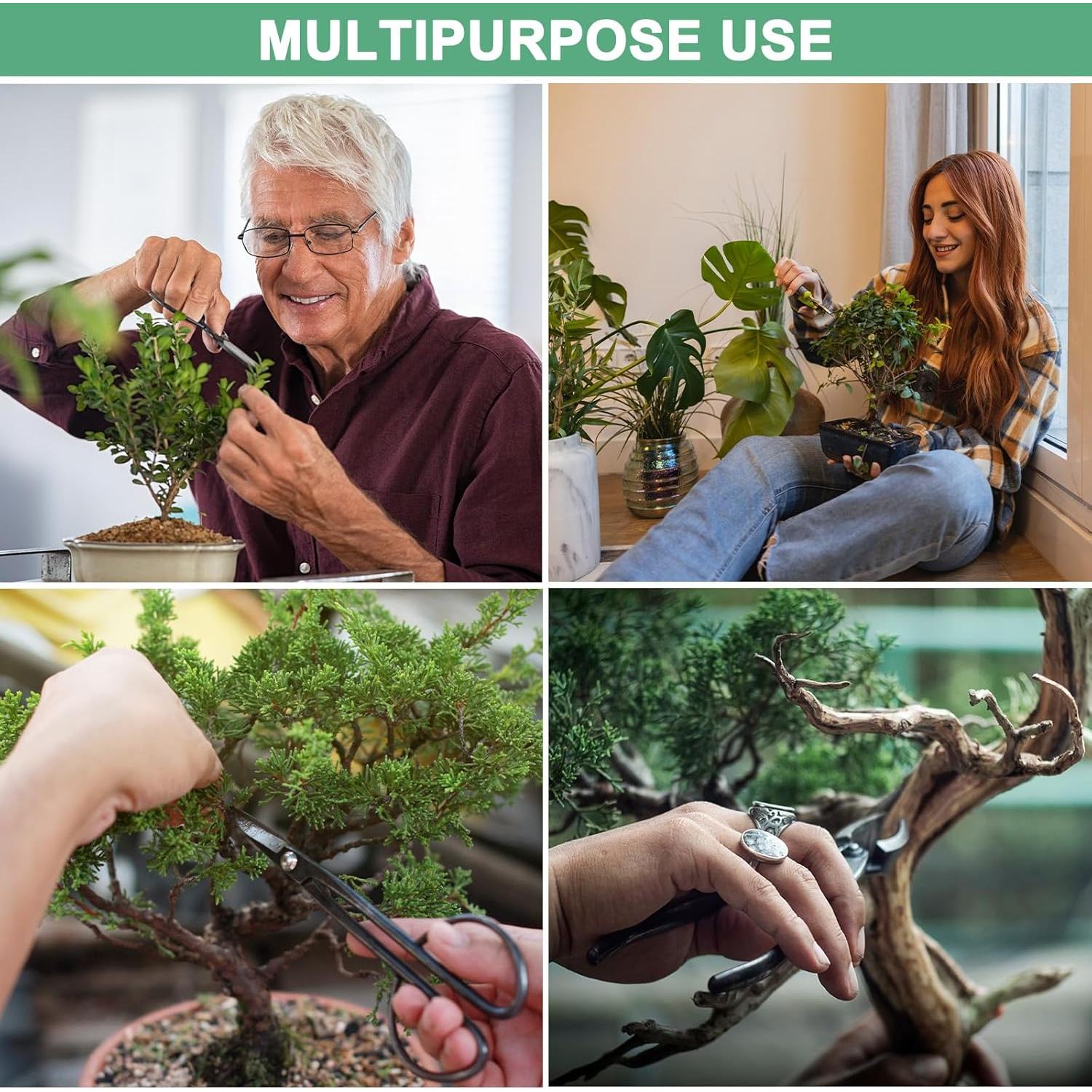 Juego de Herramientas de Bonsai 3 Piezas M METERXITY