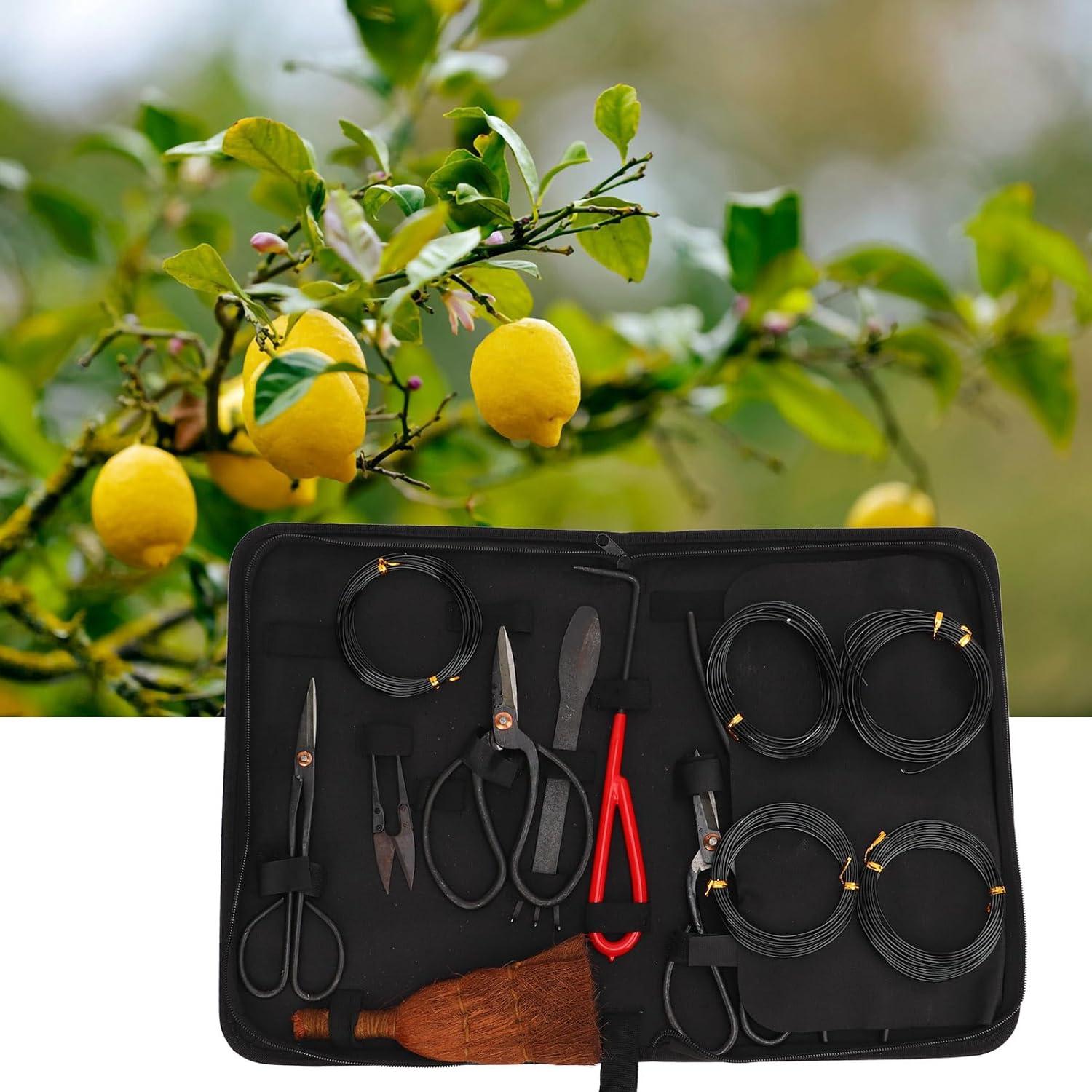 Juego de Herramientas para Bonsai Topyond 12 PCS Acero al Carbono