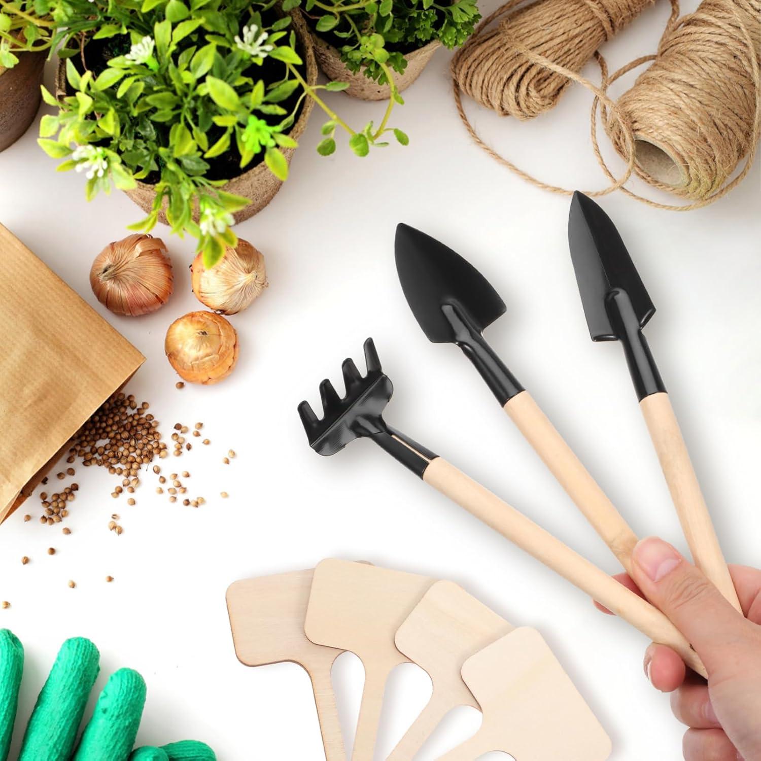 Conjunto de Herramientas de Jardinería IMIKEYA 11 Piezas para Bonsái