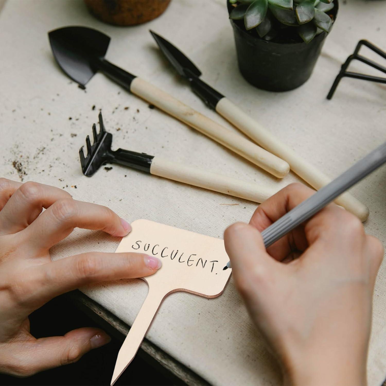 Conjunto de Herramientas de Jardinería IMIKEYA 11 Piezas para Bonsái