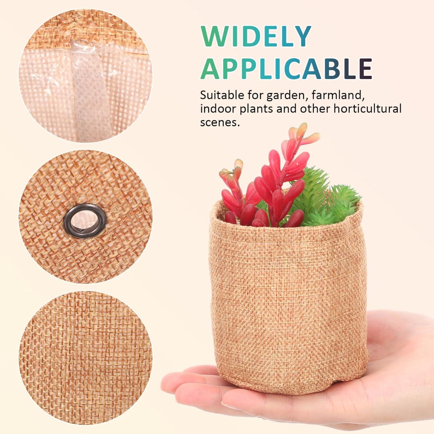 Conjunto de Herramientas de Jardinería IMIKEYA 11 Piezas para Bonsái