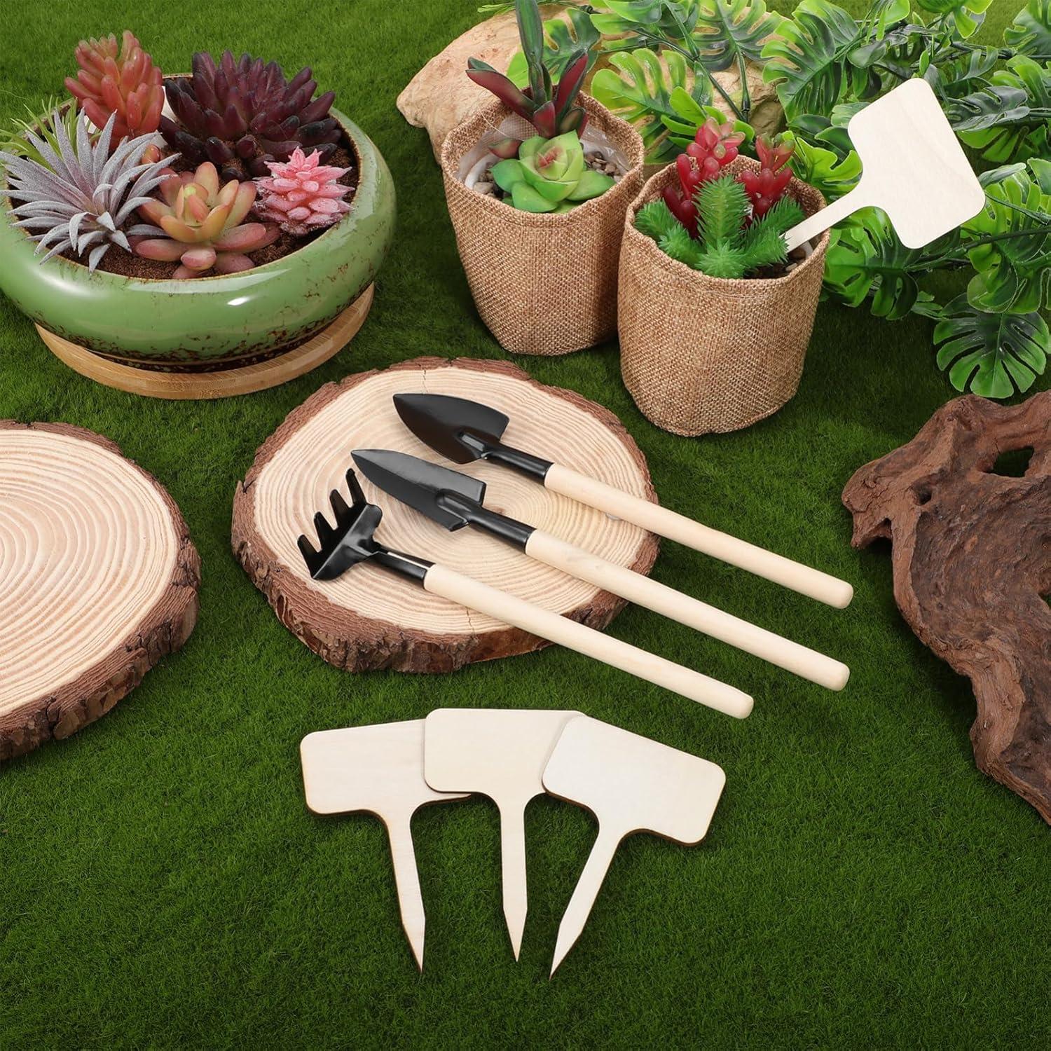 Conjunto de Herramientas de Jardinería IMIKEYA 11 Piezas para Bonsái