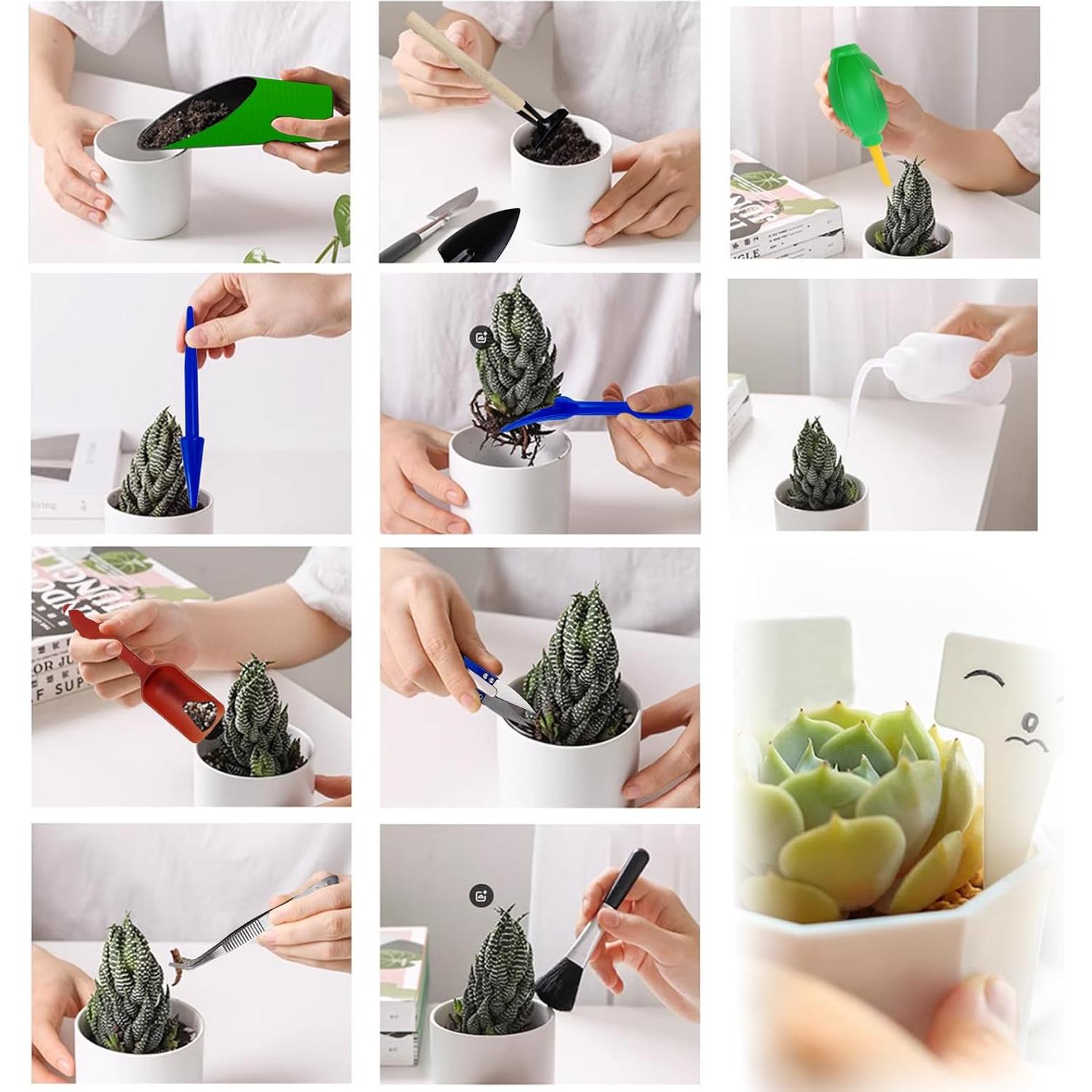 Juego de Herramientas para Suculentas GXXMEI 20 Piezas