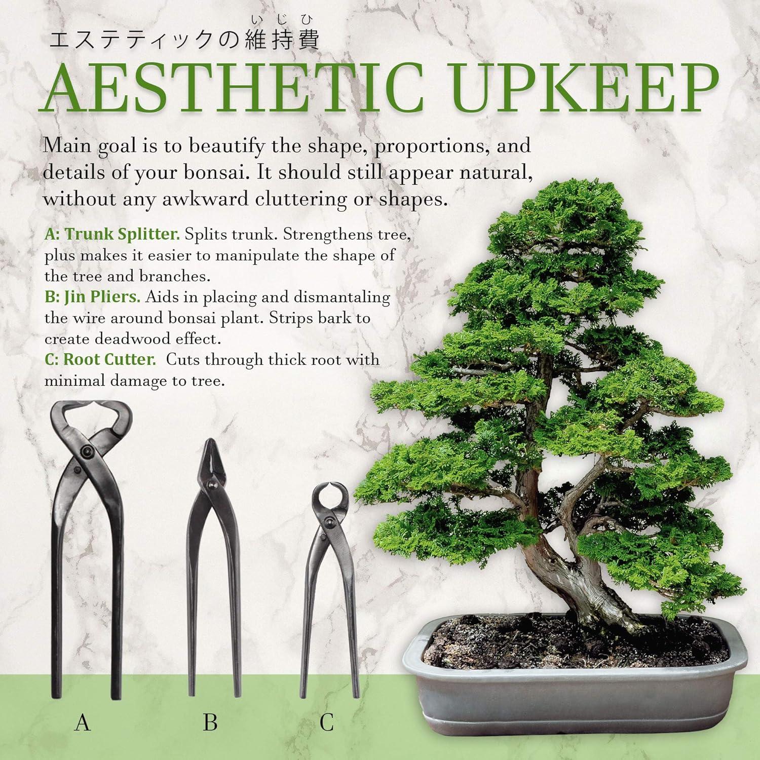 Juego de Herramientas para Bonsai BambooMN - 3 Piezas