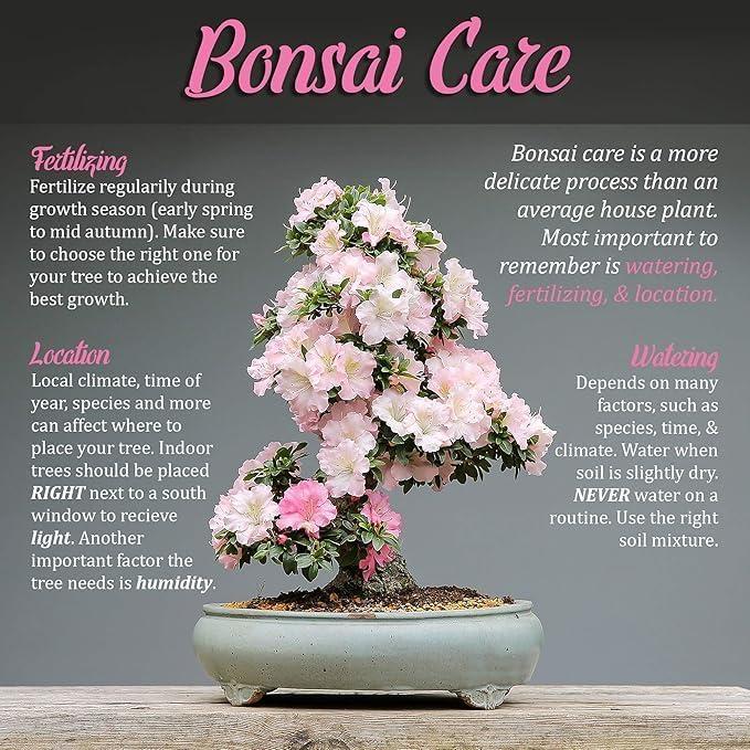 Juego de Herramientas para Bonsai BambooMN - 3 Piezas