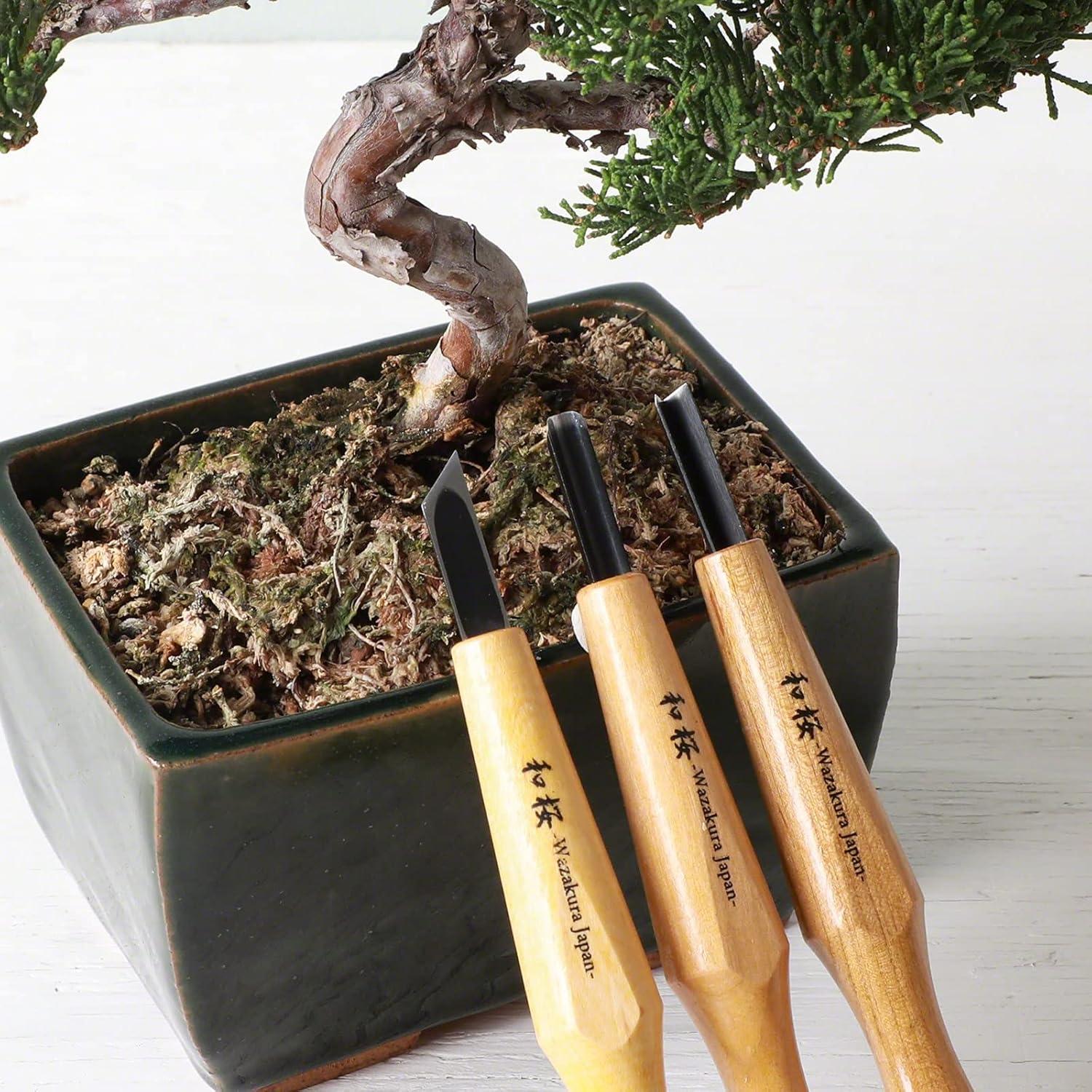 Kit de Cinceles para Bonsai Wazakura 3PCS - Hecho en Japón