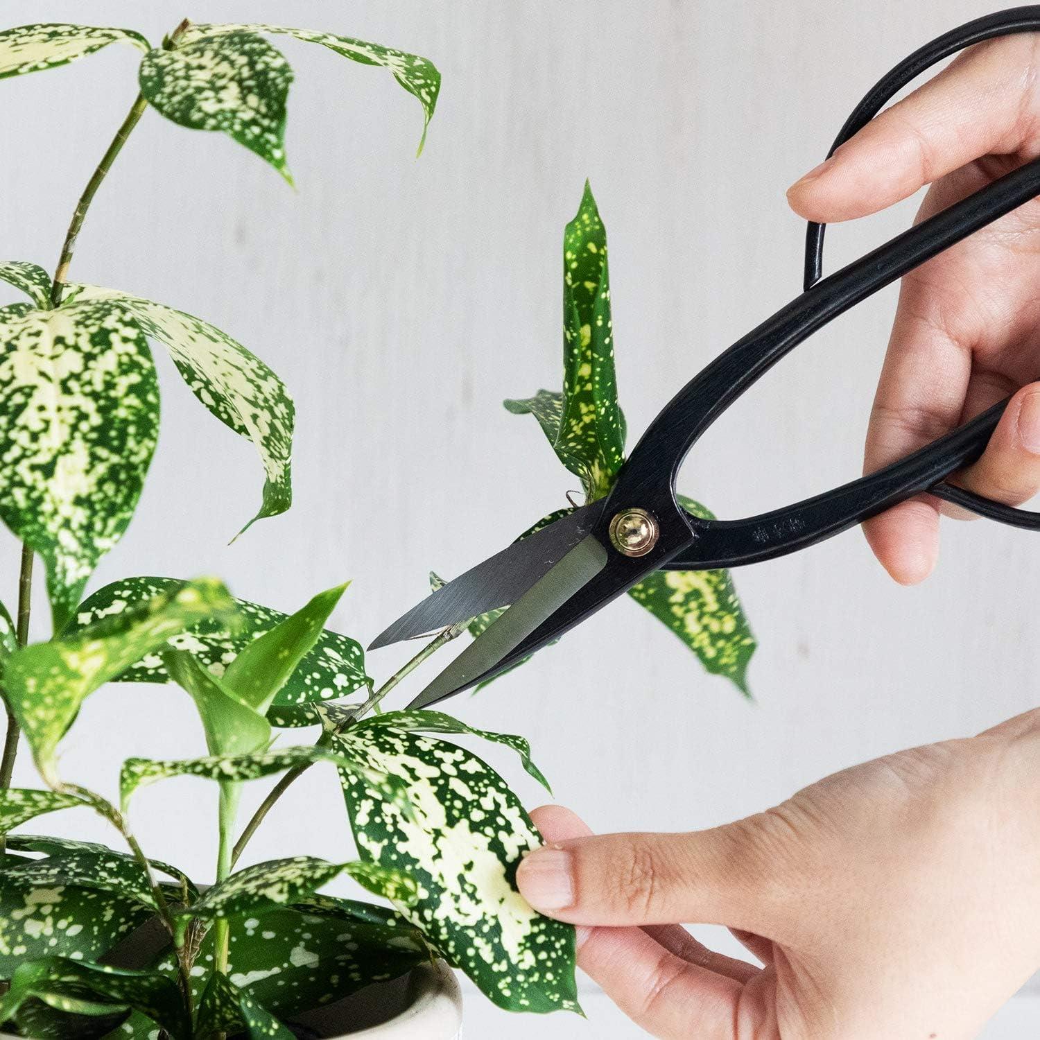 Juego de Herramientas de Bonsái Wazakura - Tijeras y Cortador