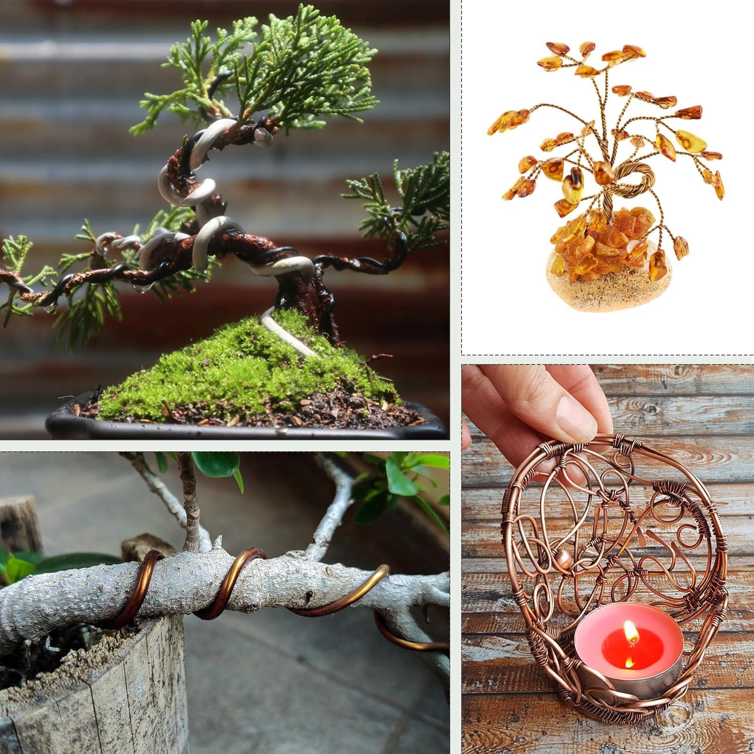 Kit de Alambre para Bonsai Zhaoyao con Cortador 1-2 mm