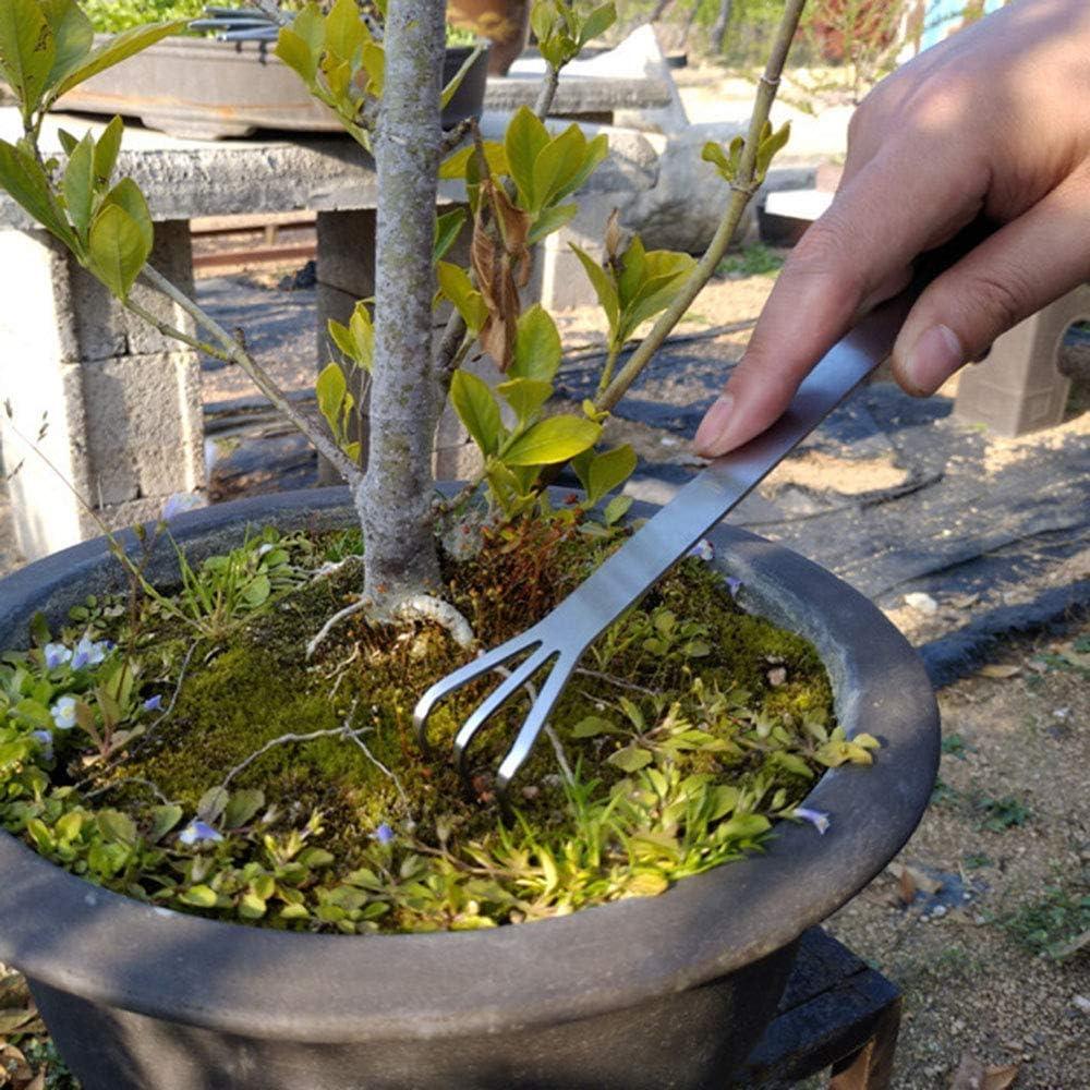 Rastrillo de Jardín Mini SQXBK de Acero Inoxidable 33x45mm