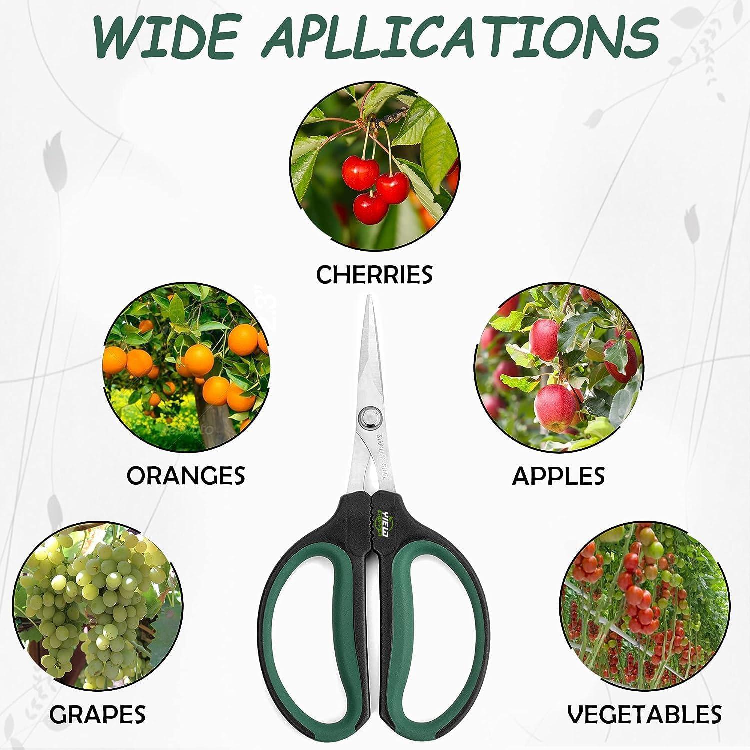 Juego de Tijeras de Poda YIELDCROPPER 2 Piezas Acero Inoxidable